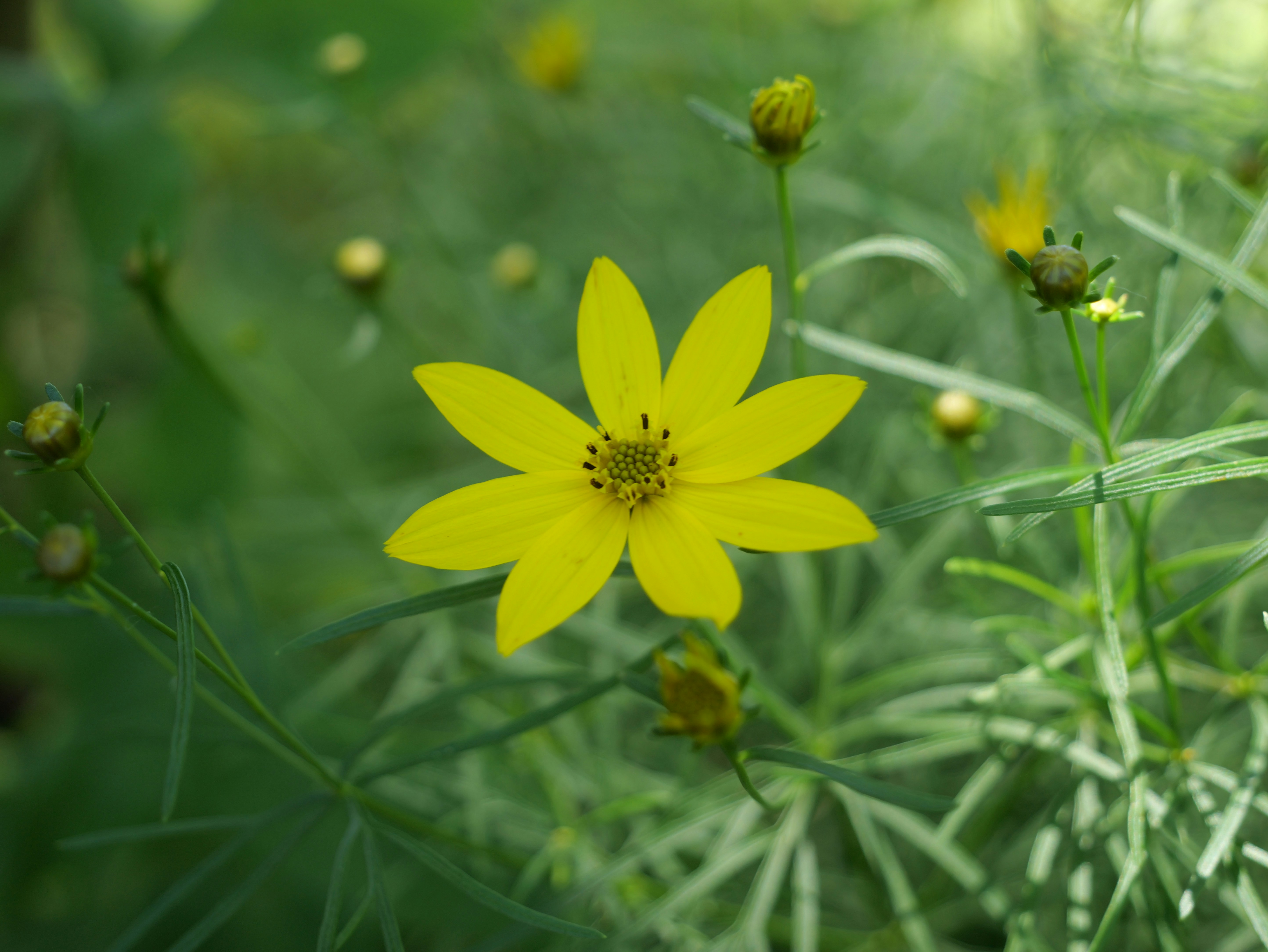 Photo by karonthompson