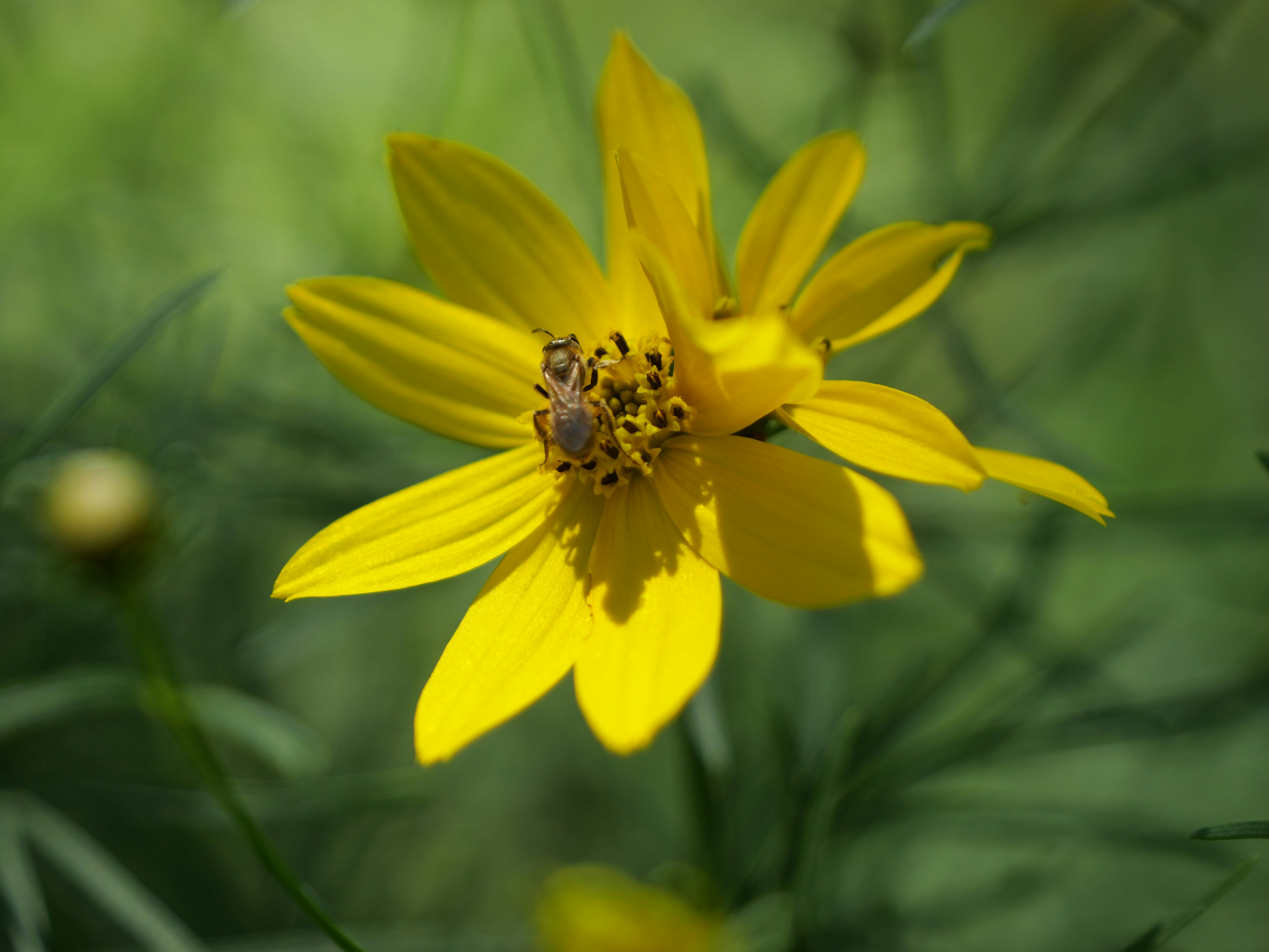 Photo by karonthompson