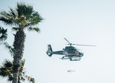 A helicopter is flying over a palm tree