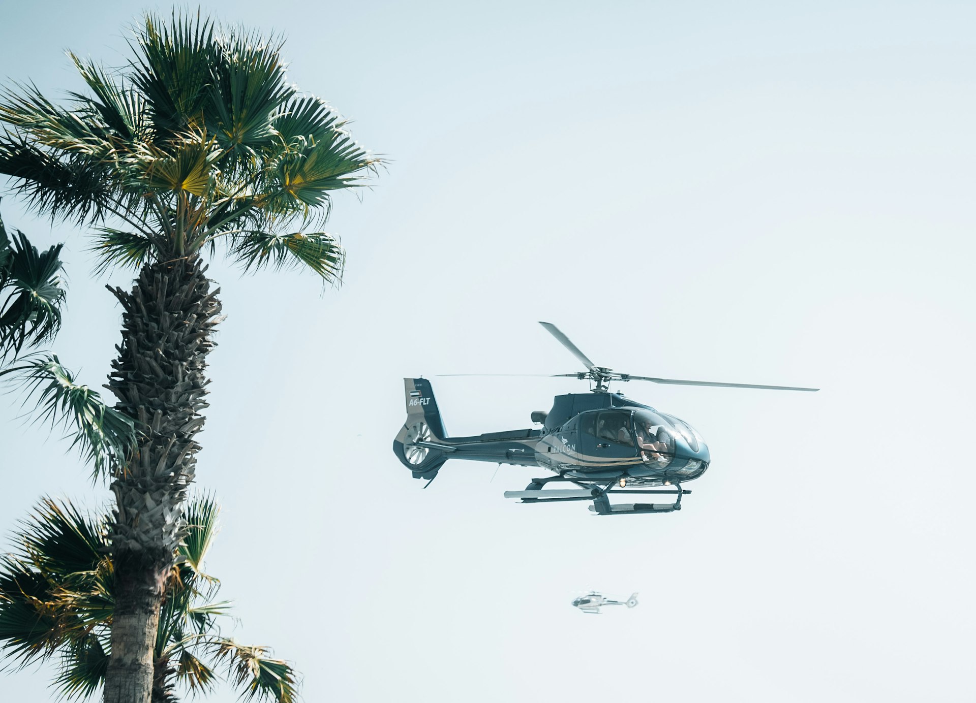 A helicopter is flying over a palm tree