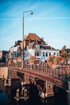 A bridge over a body of water with buildings in the background