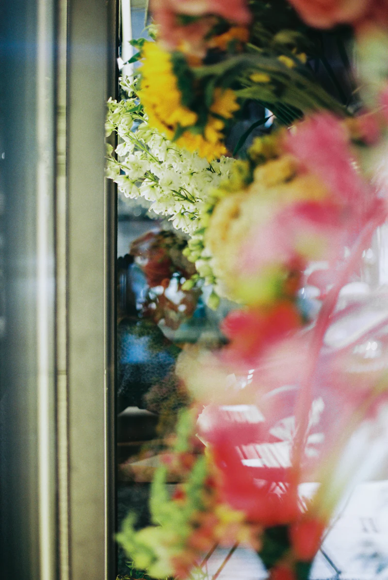 Green plants in the atelier