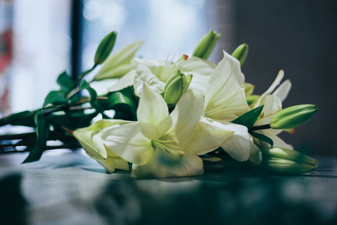 white roses and lilies bouquet at a local wedding venue white roses and lilies bouquet at a local wedding venue