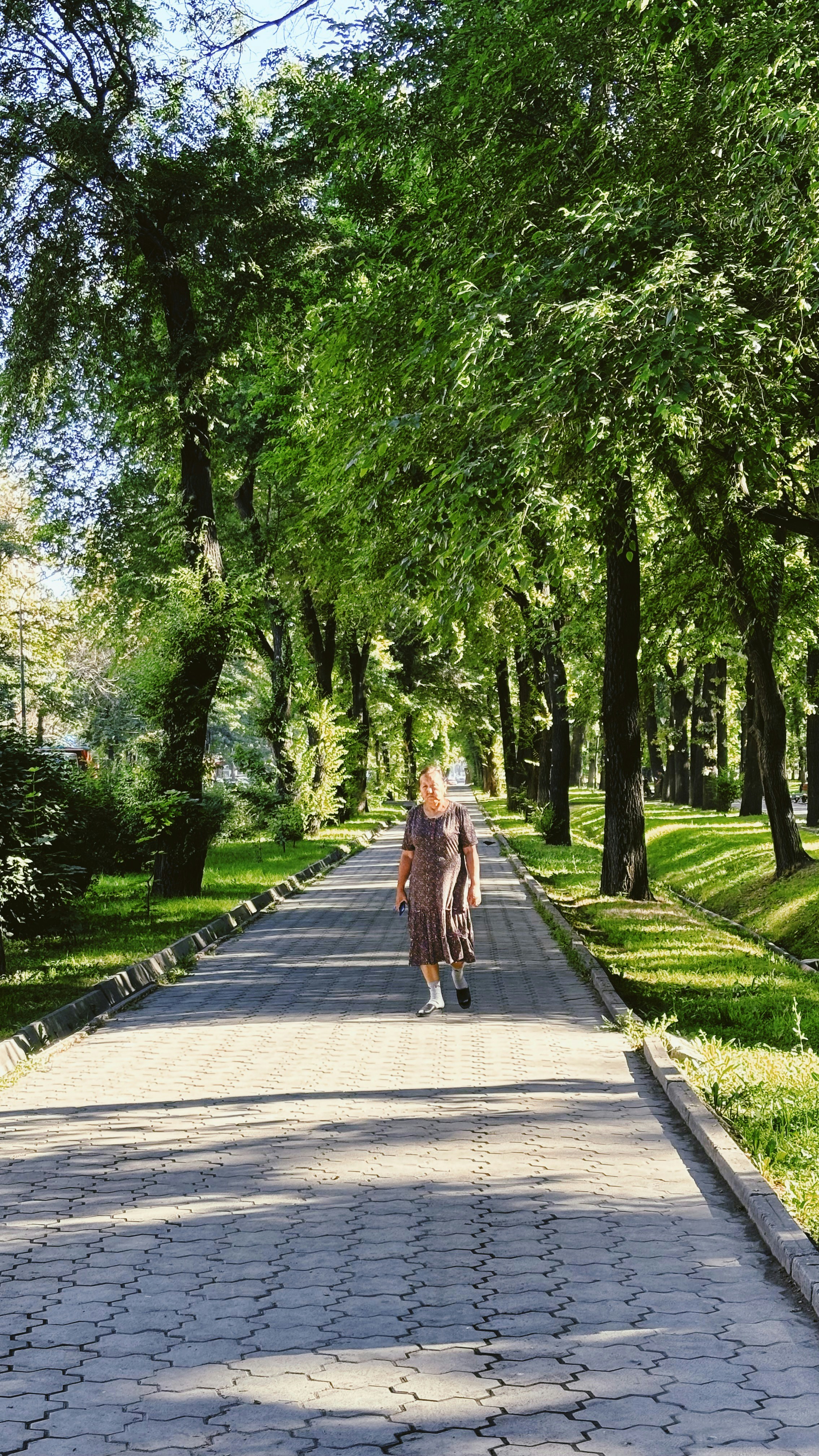 Photo by afhamhmsyri