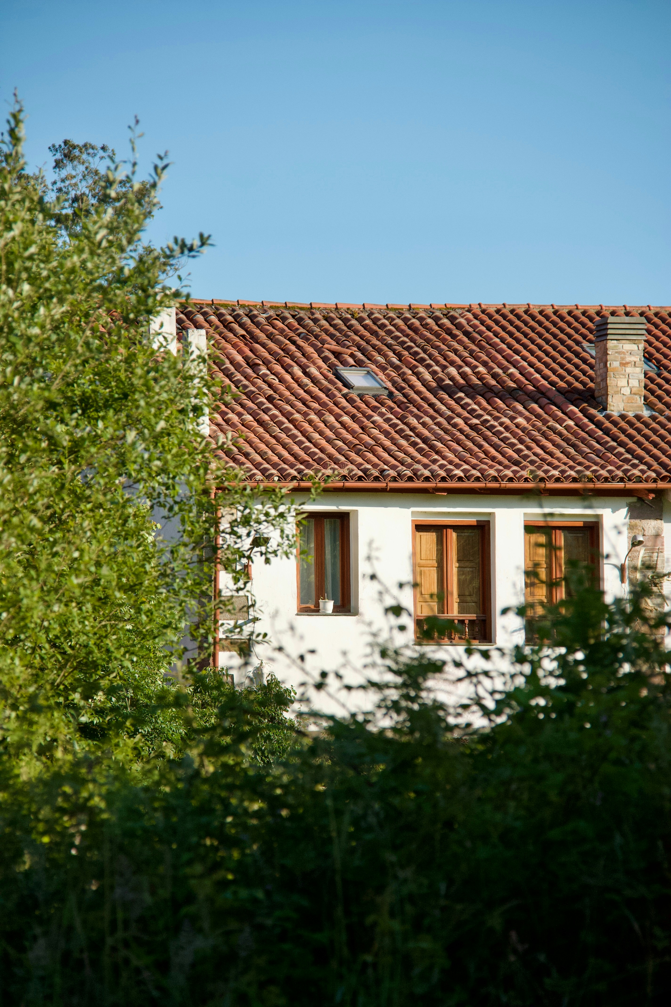 Photo by pablo_saancheezz