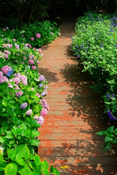 A wooden walkway surrounded by colorful flowers and greenery