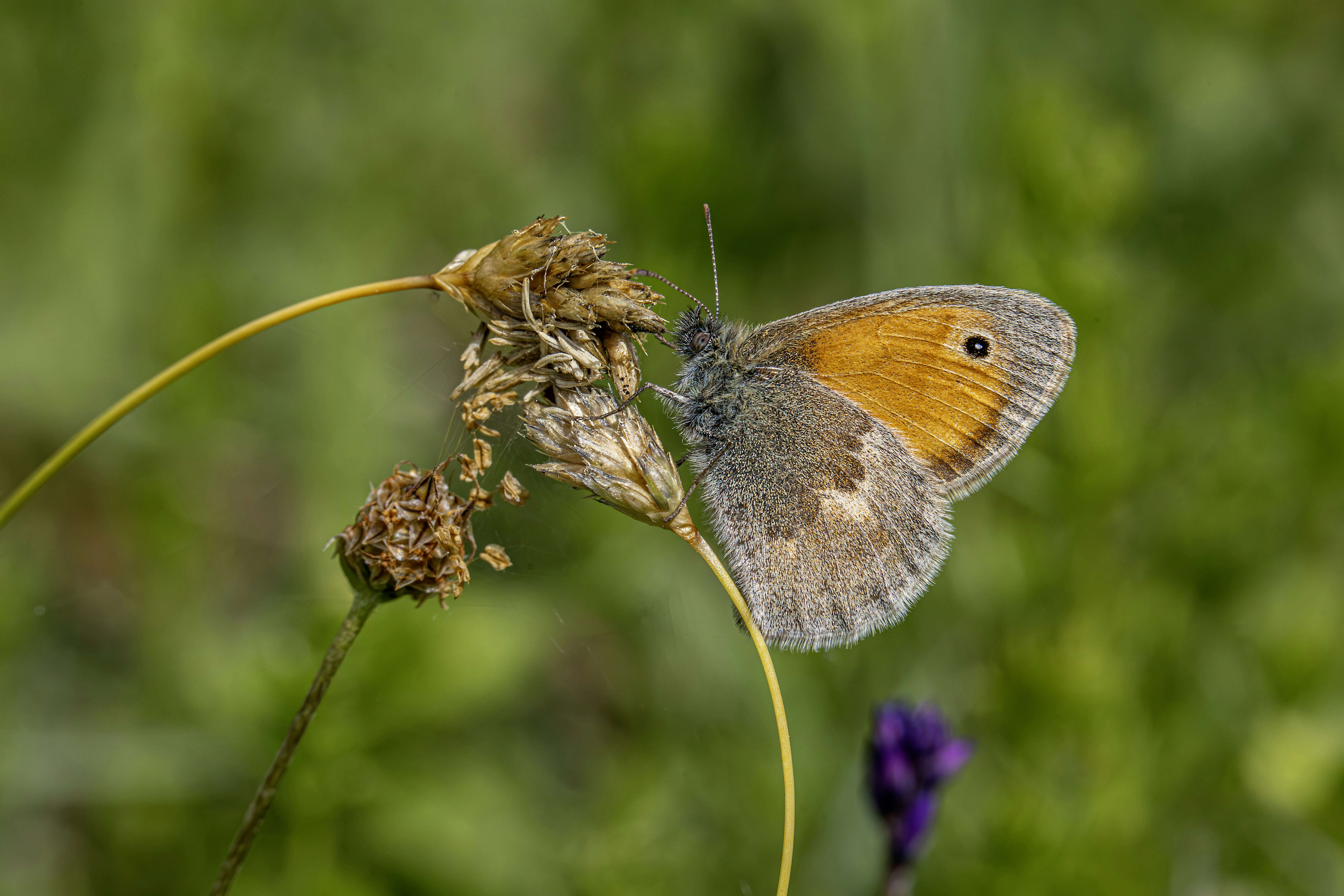 Photo by erik_karits