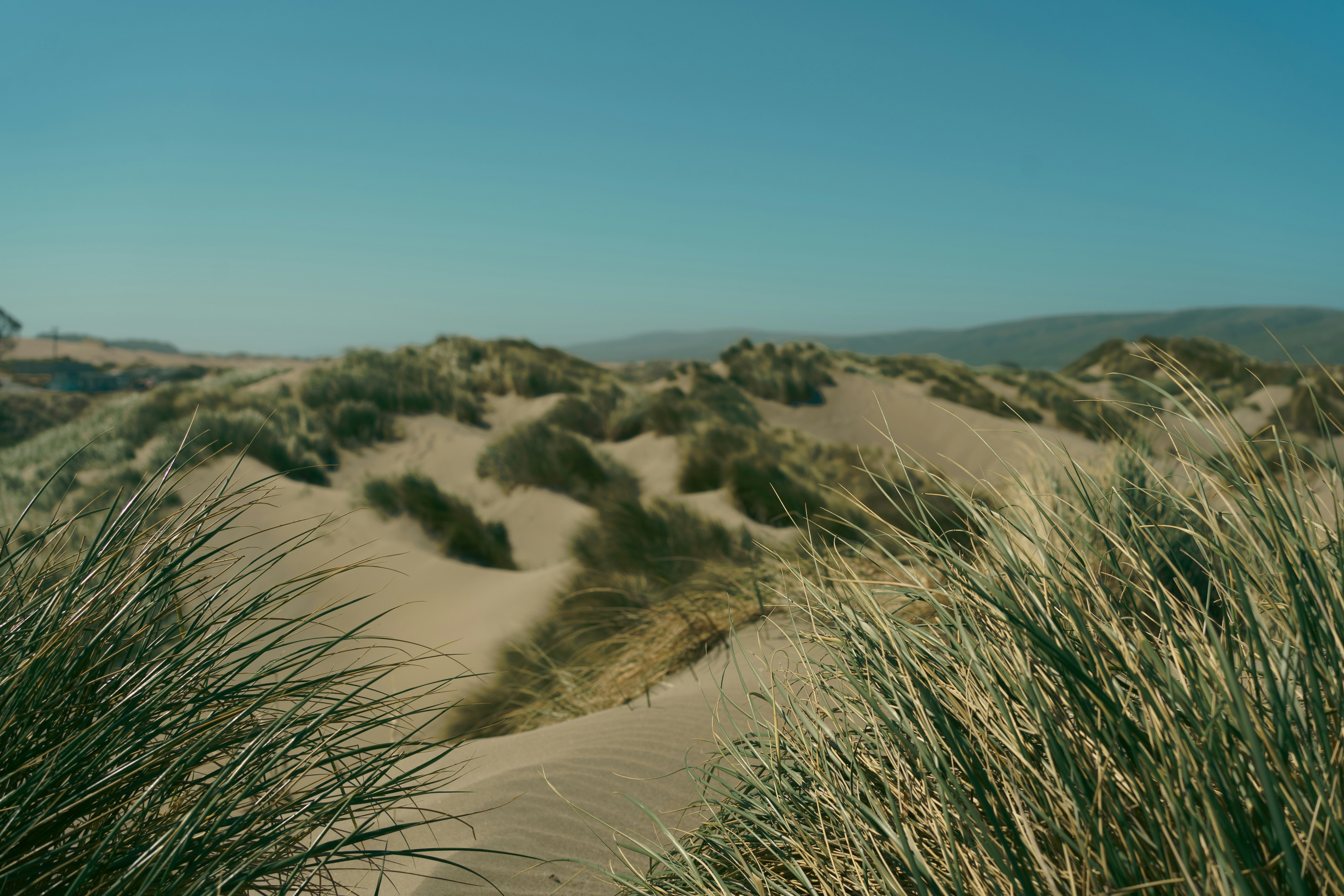 Photo by abduzeedo