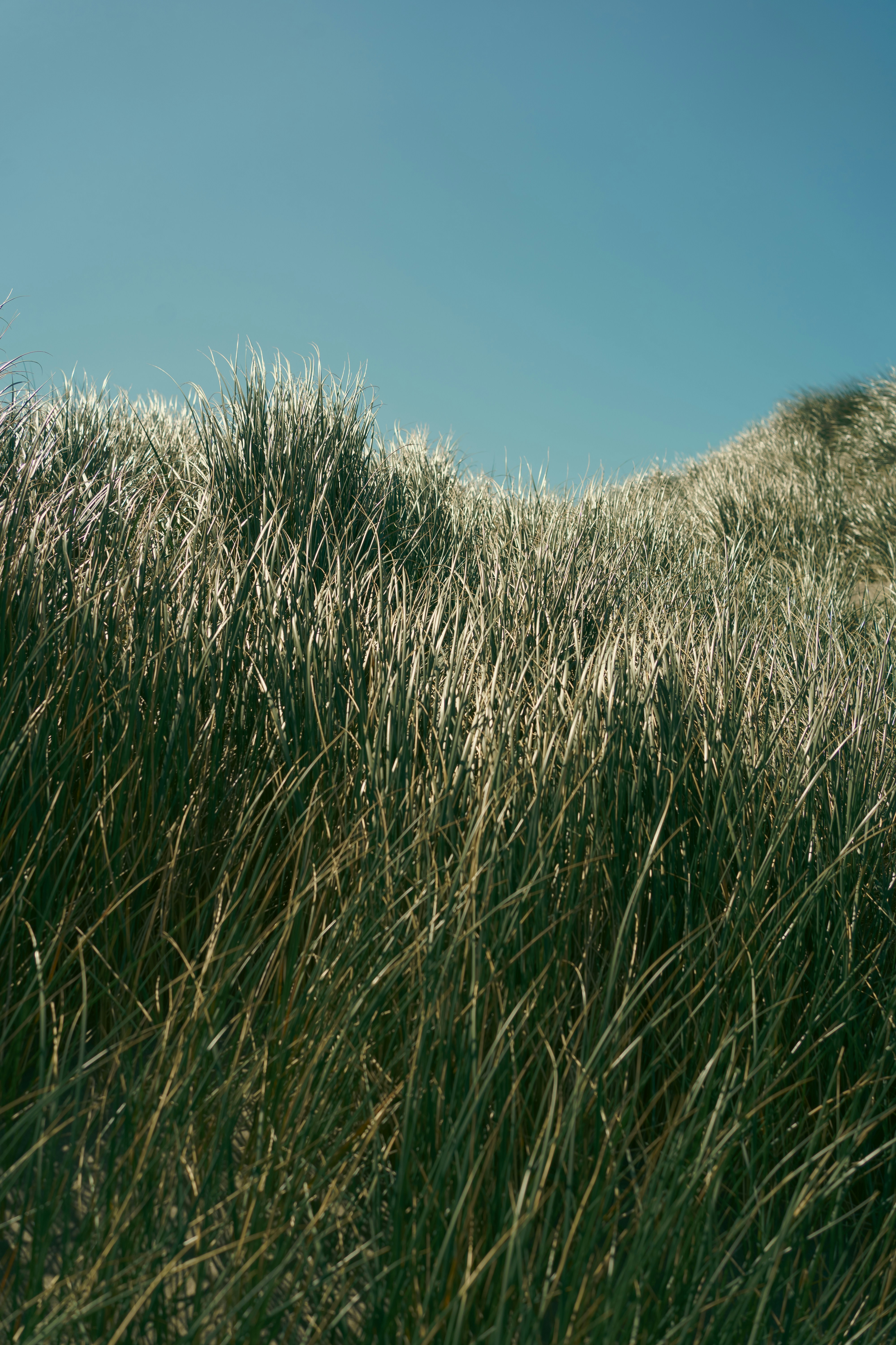 Photo by abduzeedo