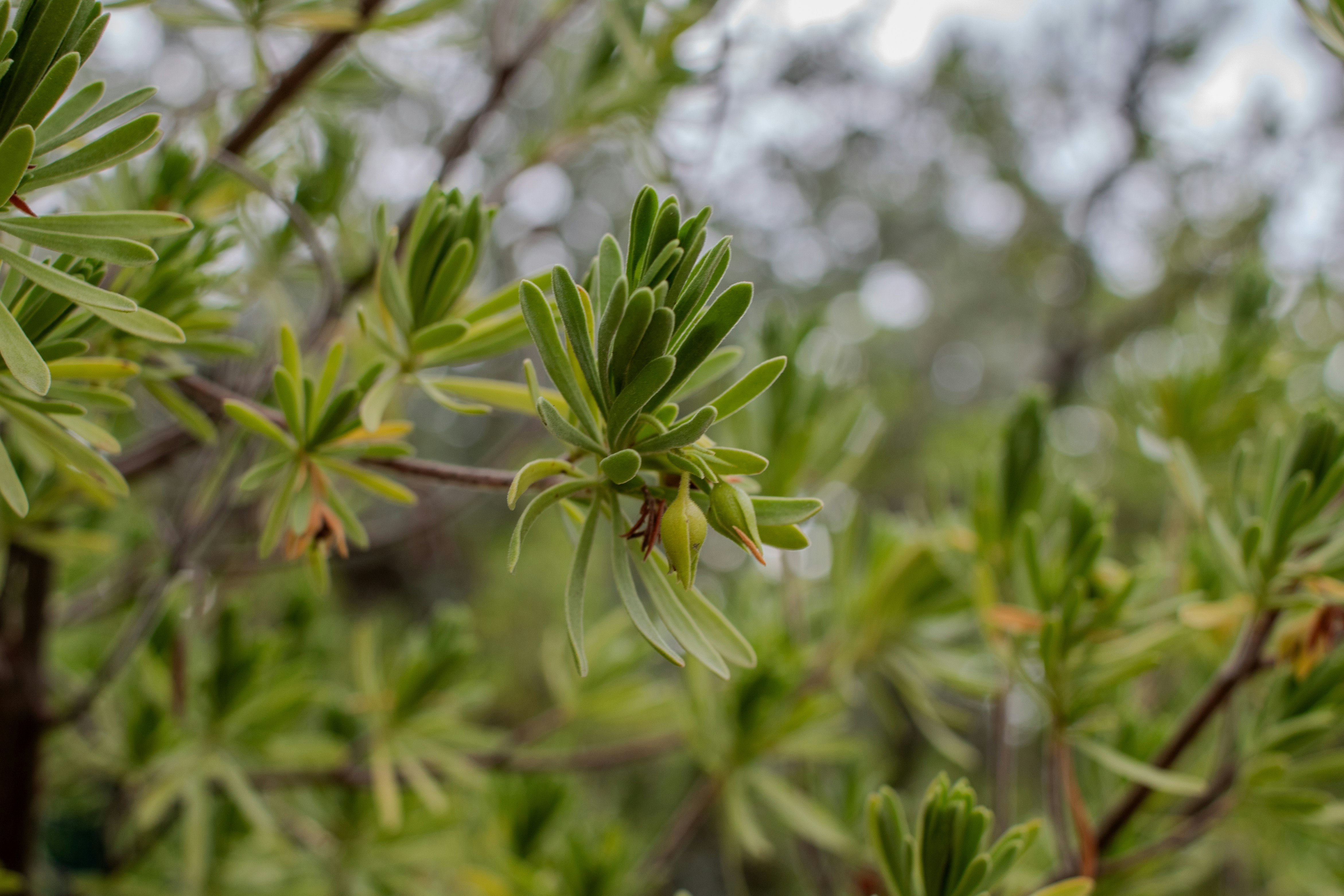 Photo by zoshuacolah