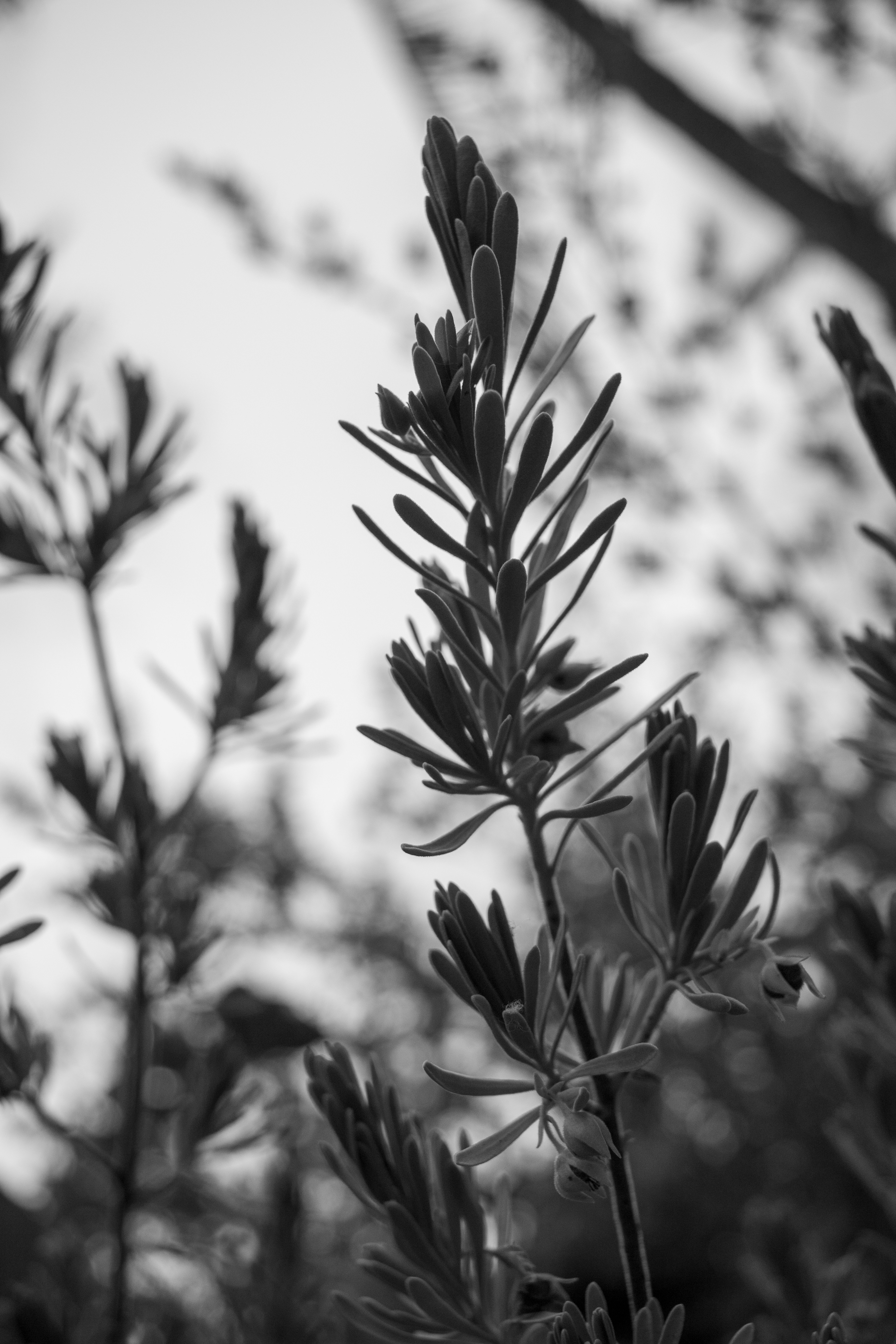 Photo by zoshuacolah