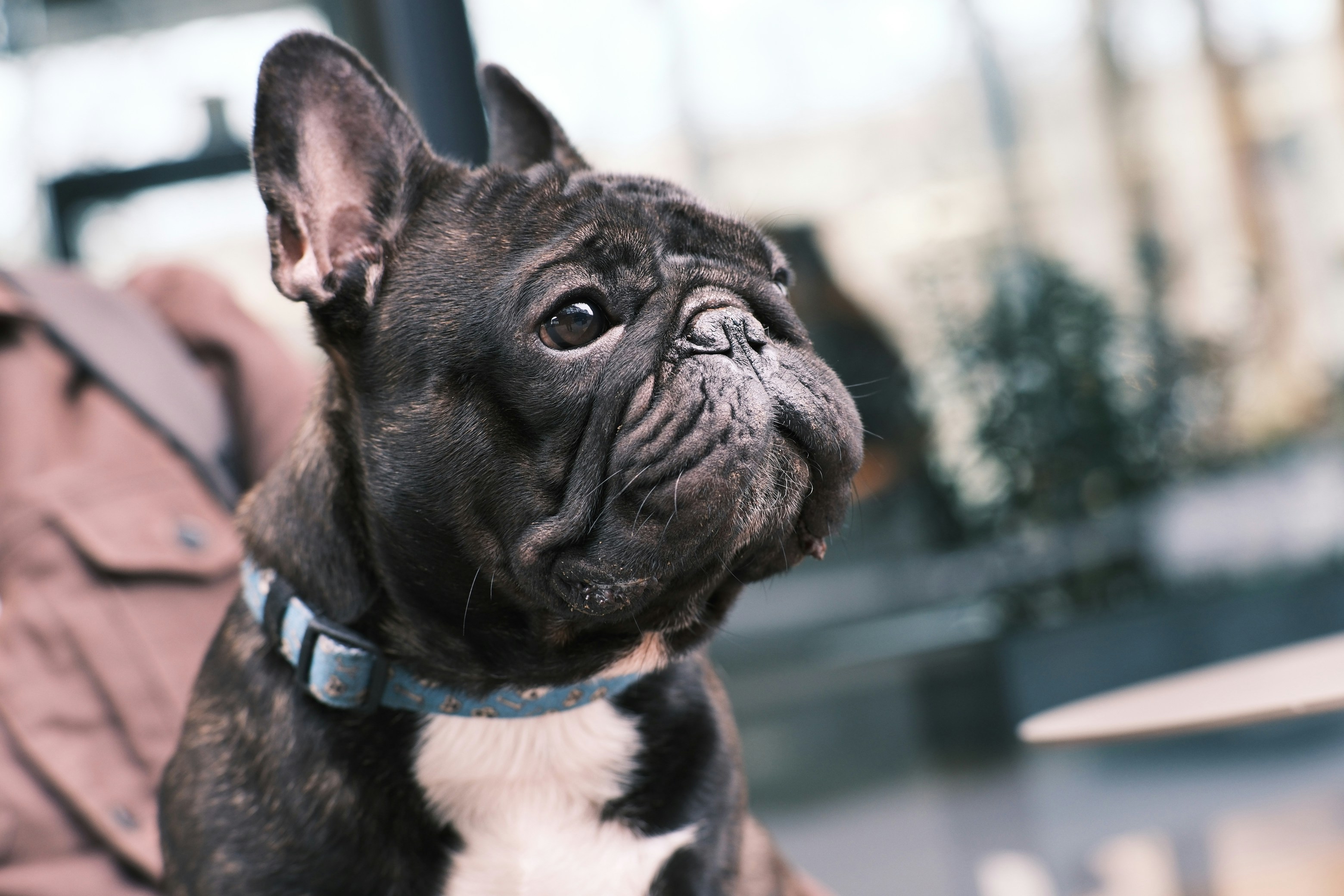 Photo by mikhail_mamaev