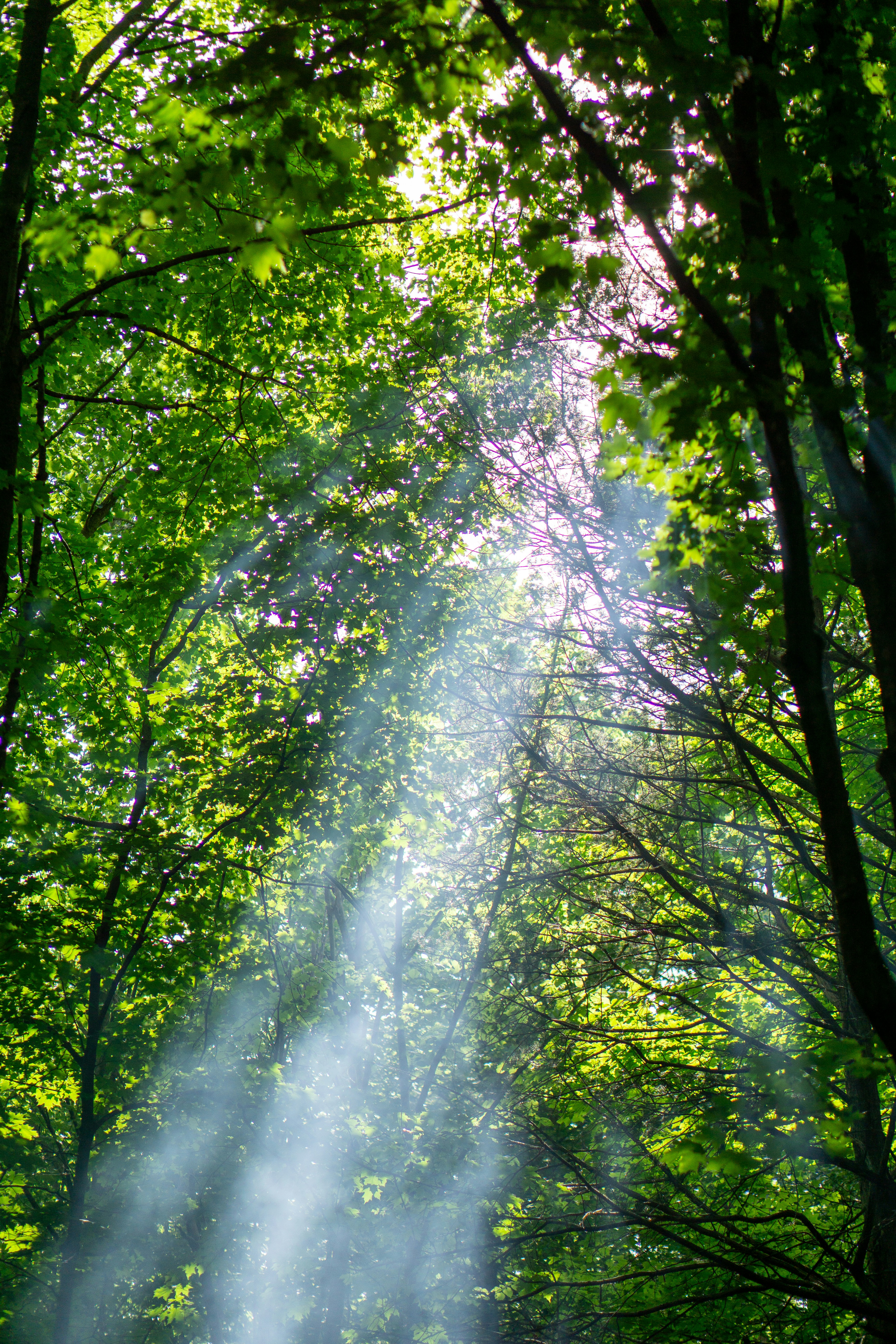 Photo by nickringsmuth