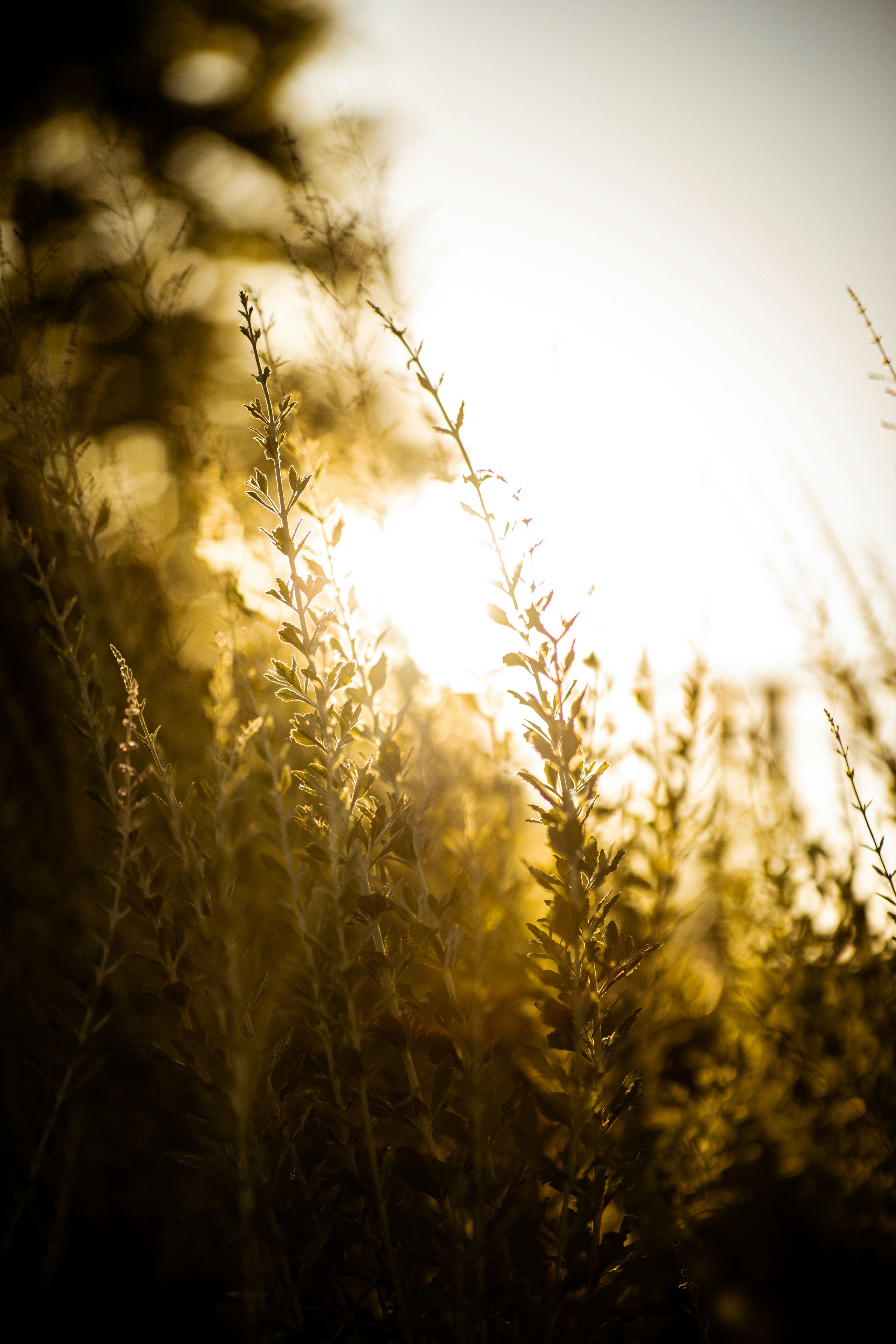 Photo by fer_herrera