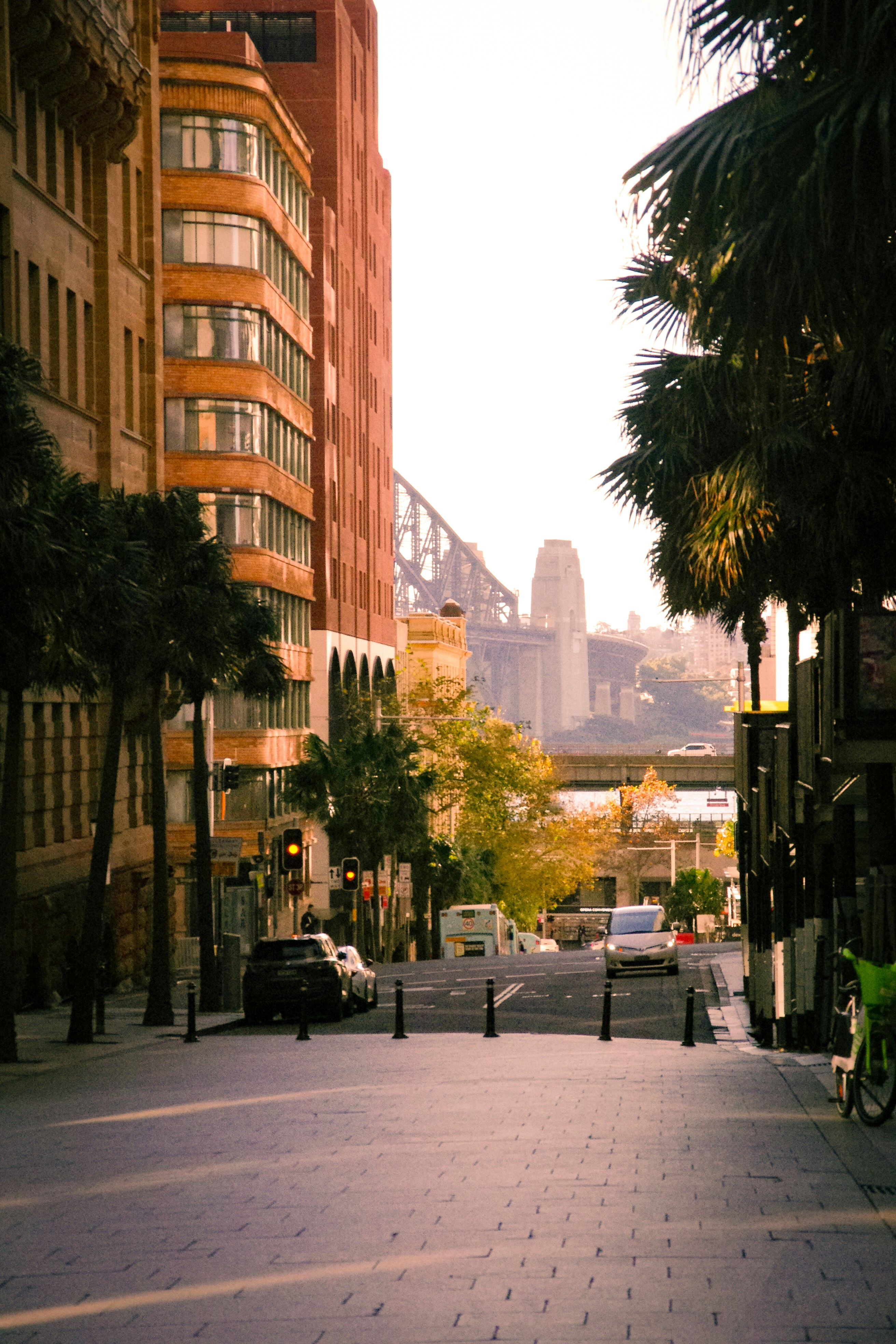 A city street lined with tall buildings and palm trees