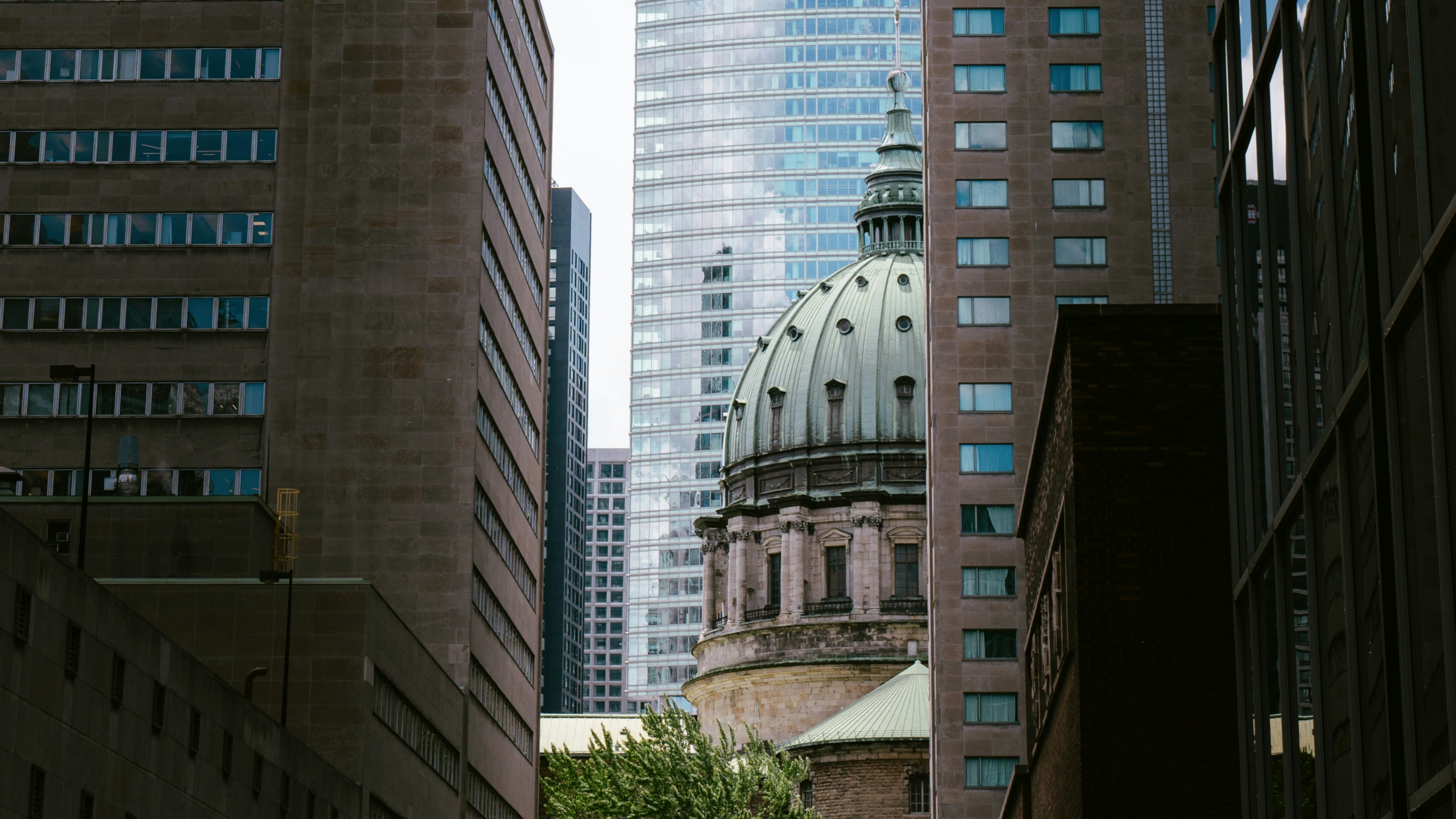 صورة المعرض