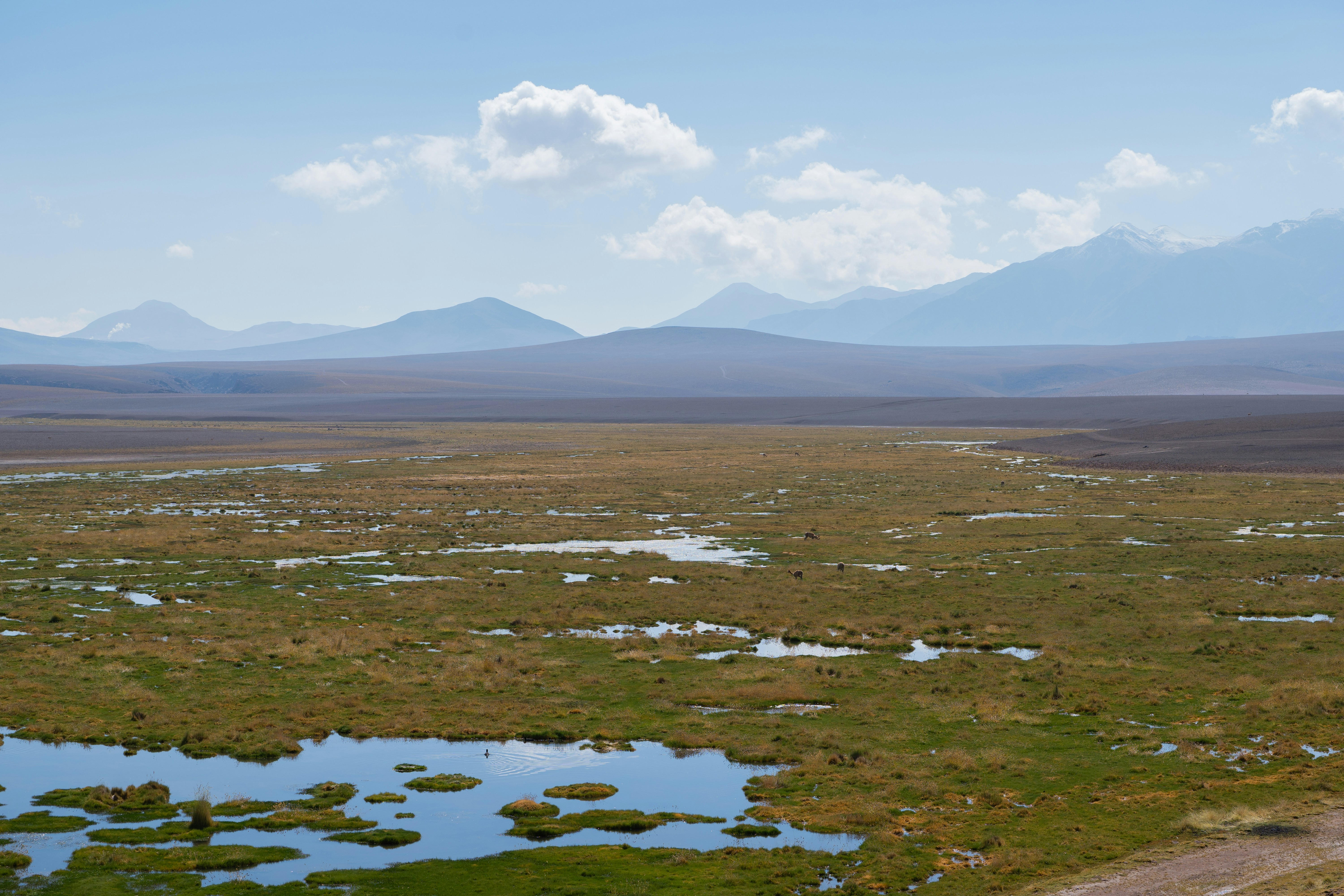 A large open field with mountains in the background