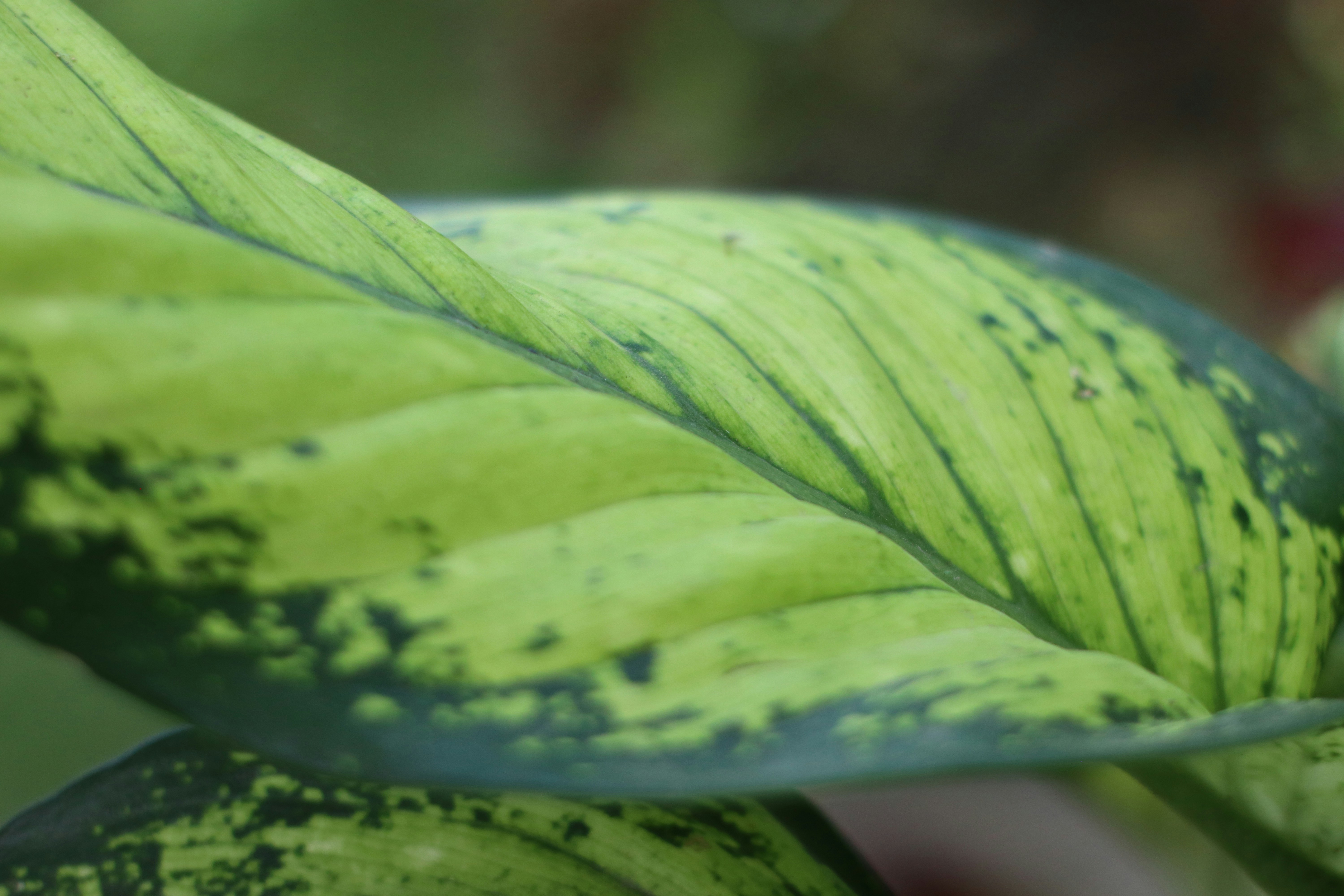 Photo by jthierry_51