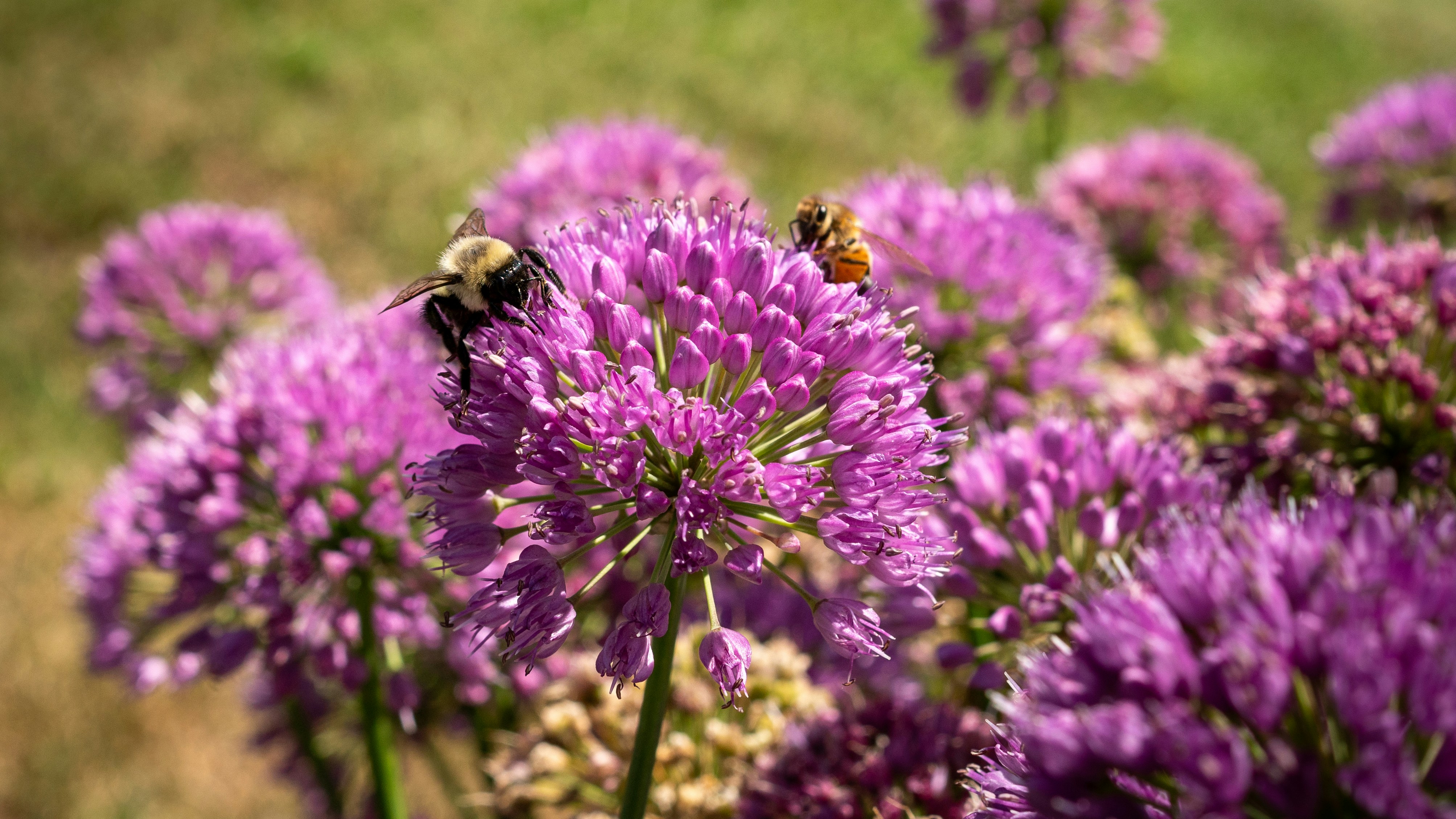 Photo by oculareuphoria