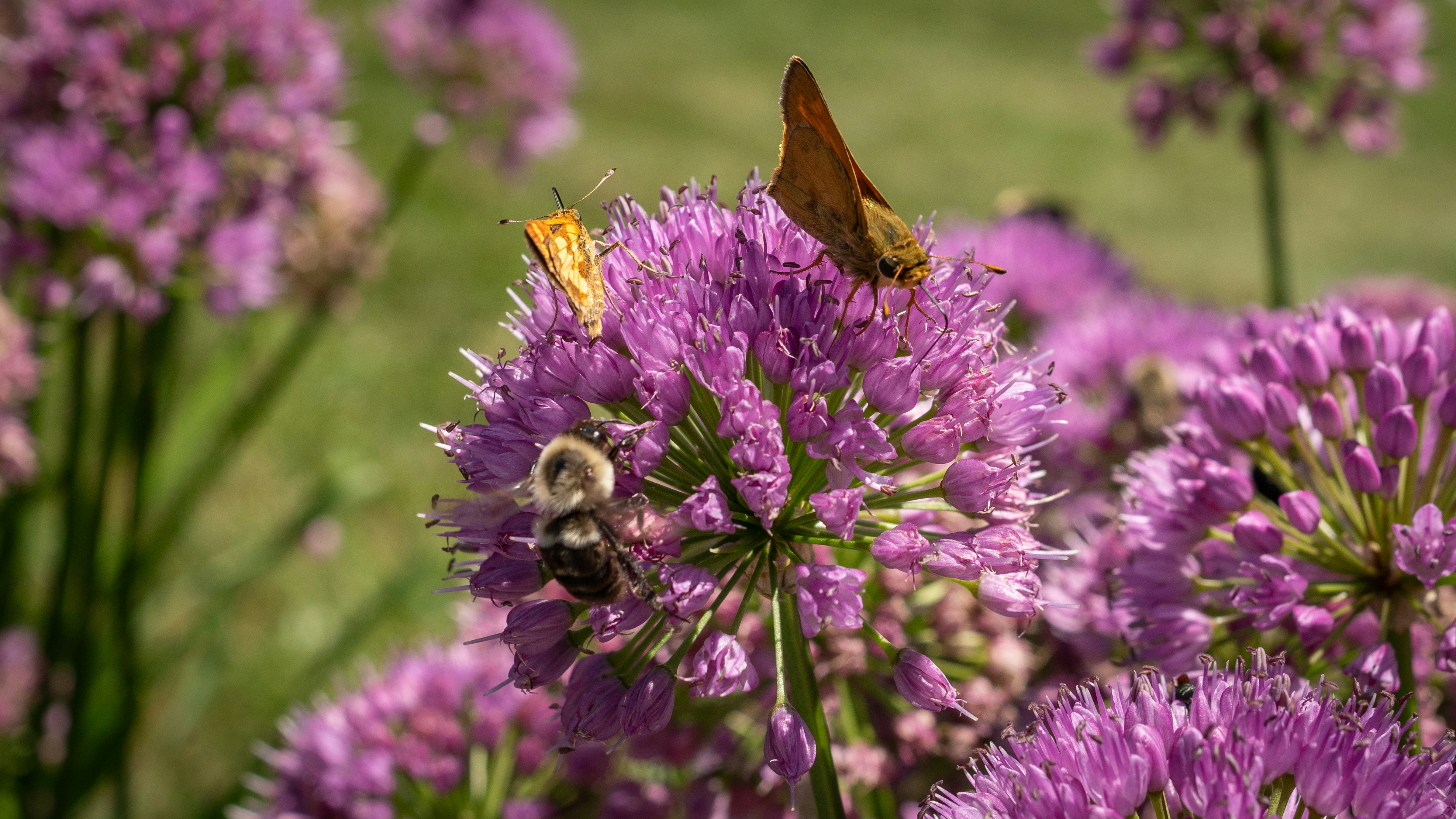 Photo by oculareuphoria