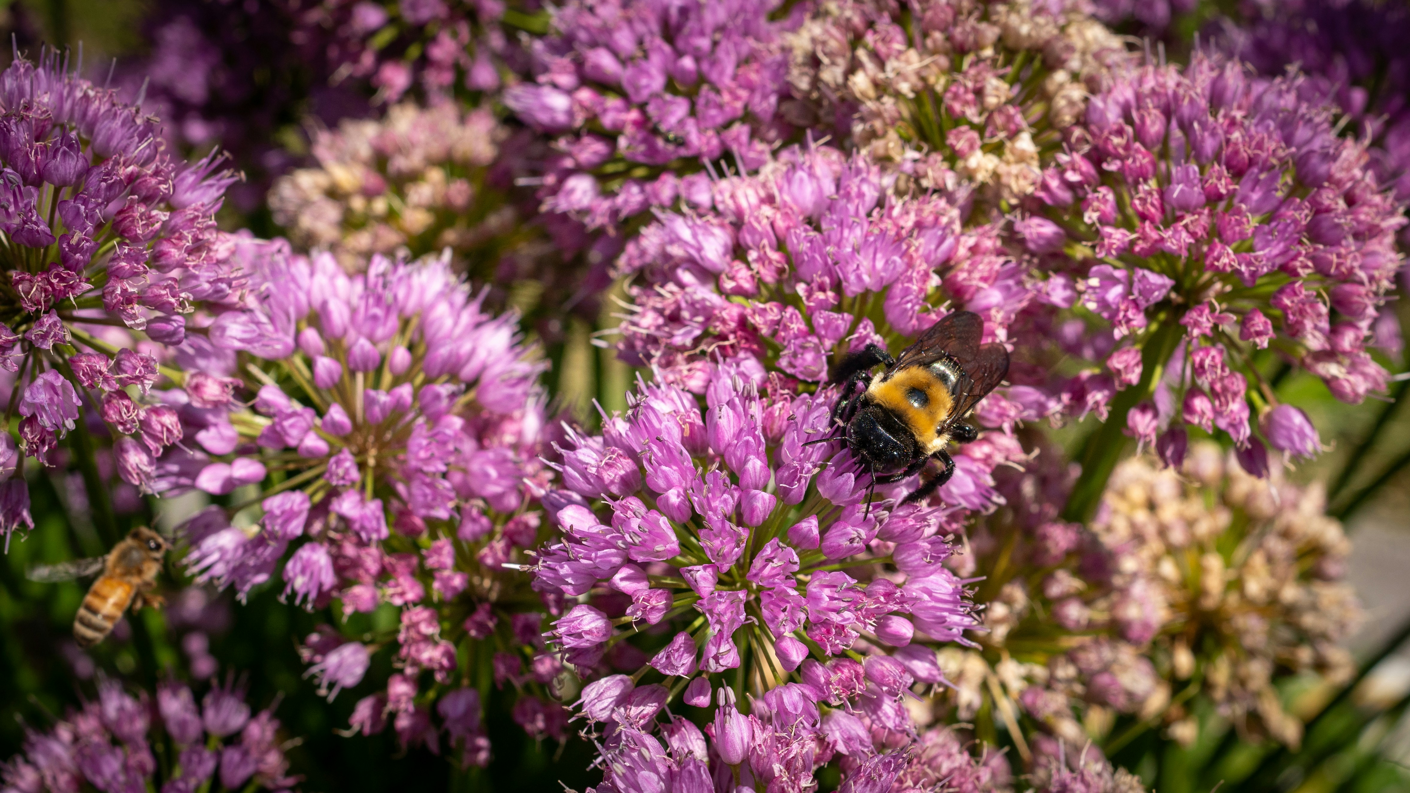 Photo by oculareuphoria