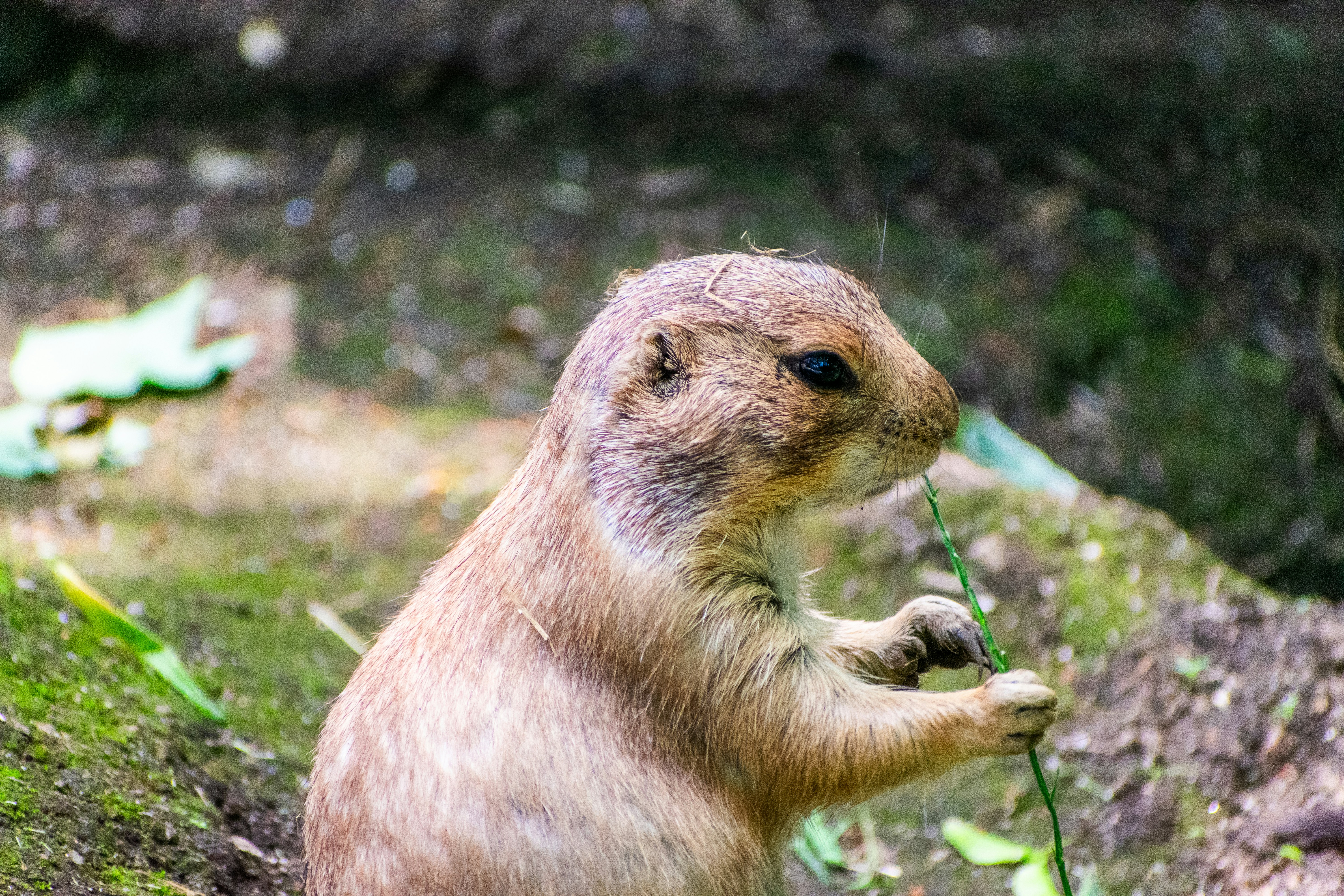 Photo by probablyrobin