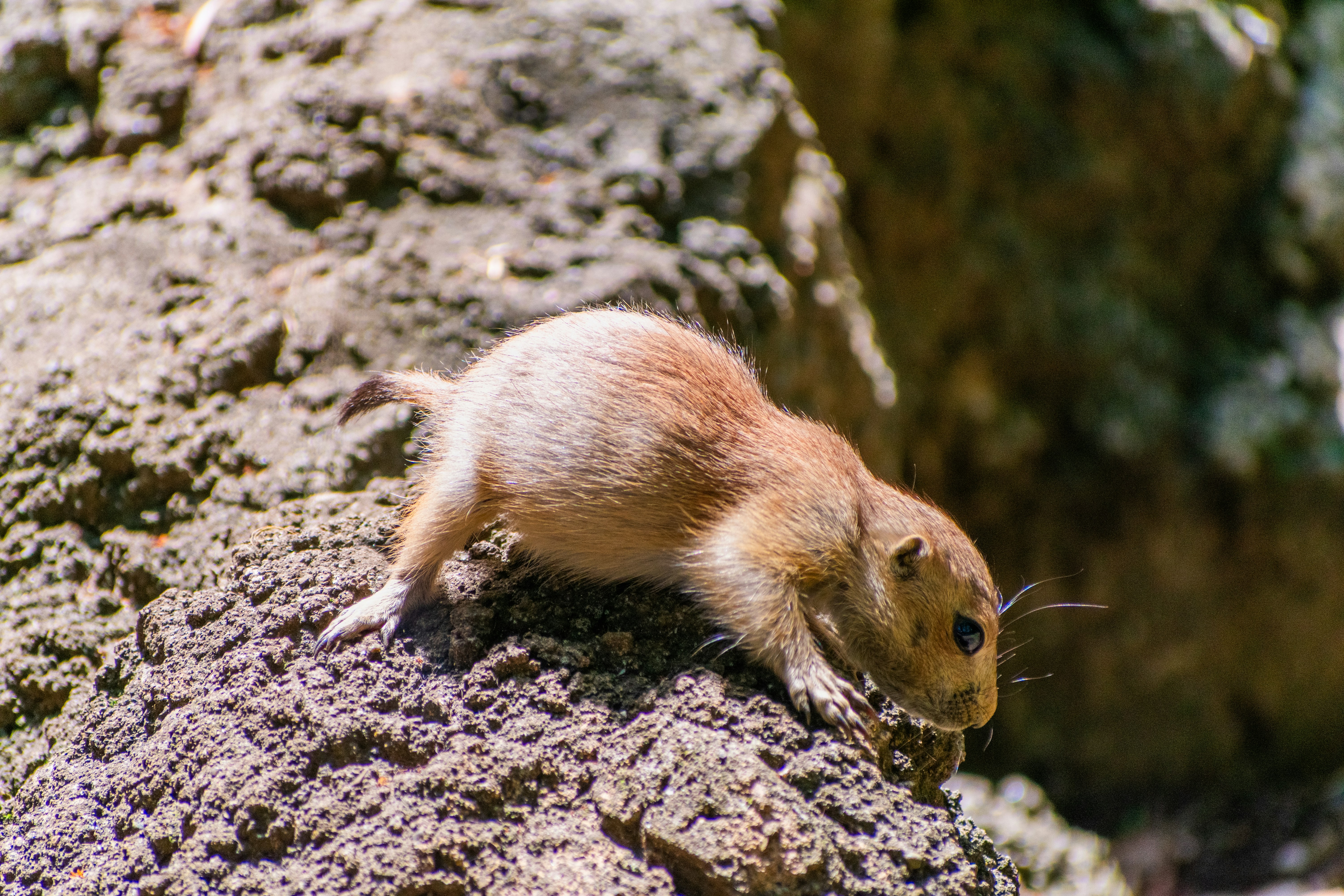 Photo by probablyrobin