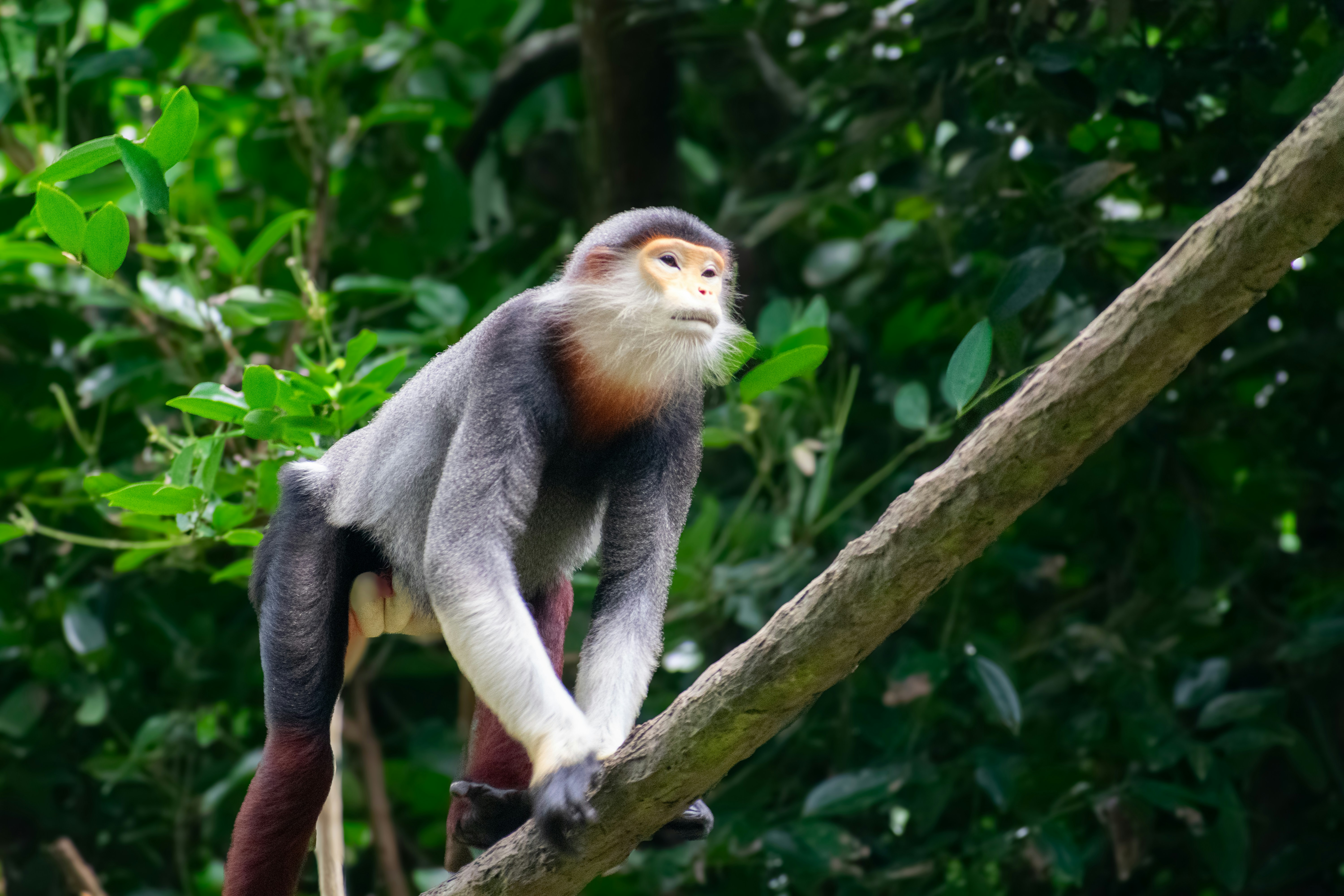 Photo by probablyrobin