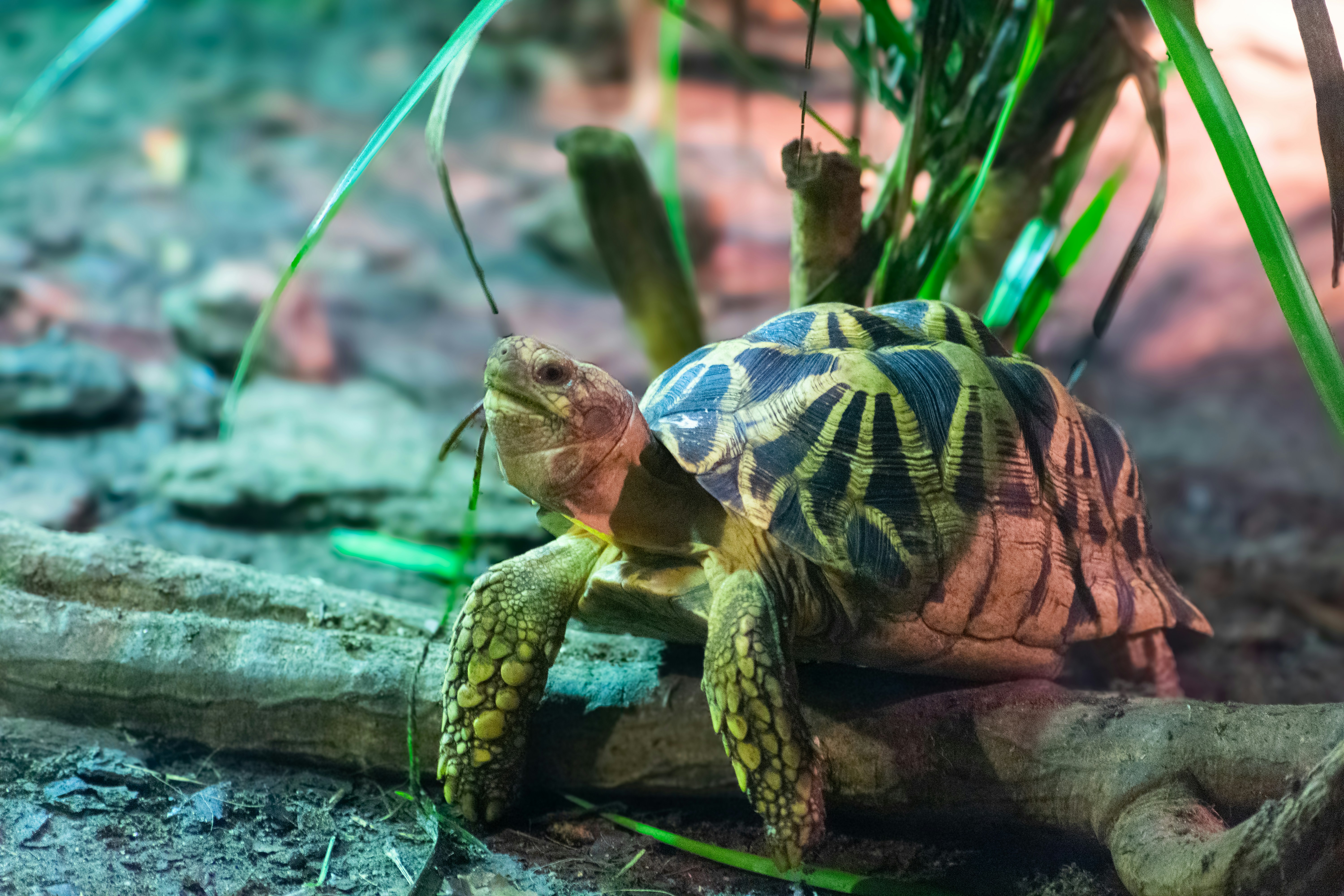 Photo by probablyrobin