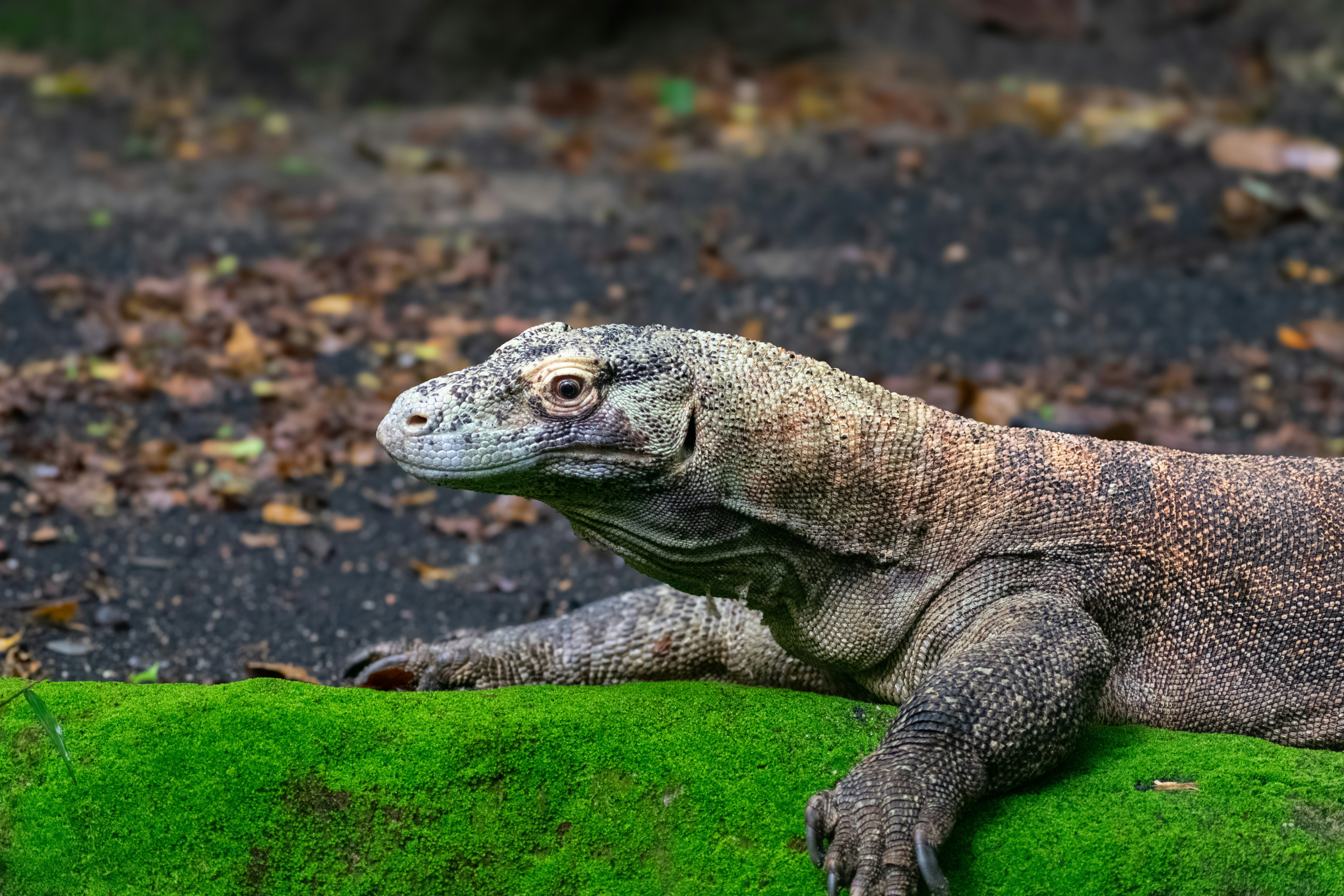 Photo by probablyrobin