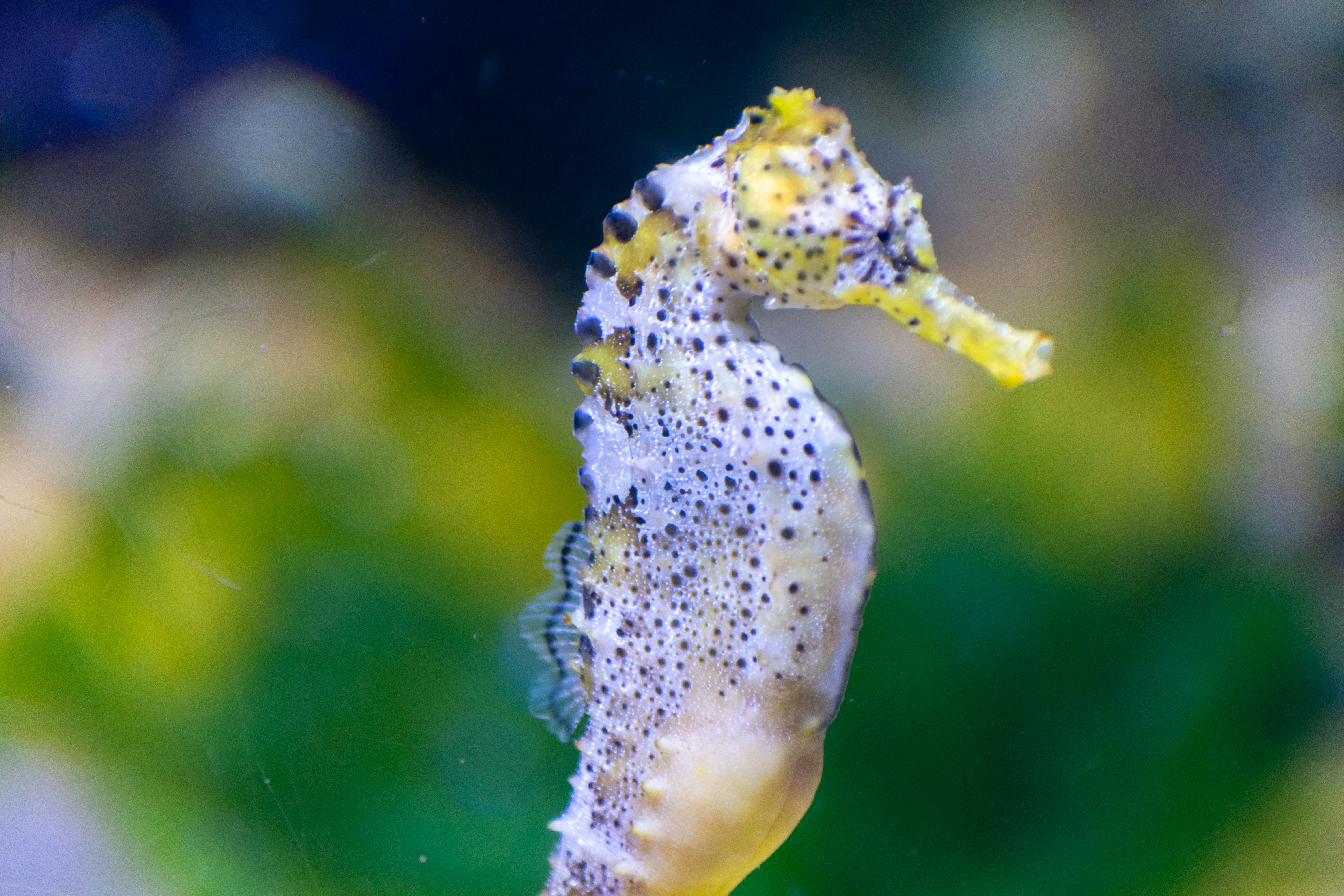 Photo by probablyrobin