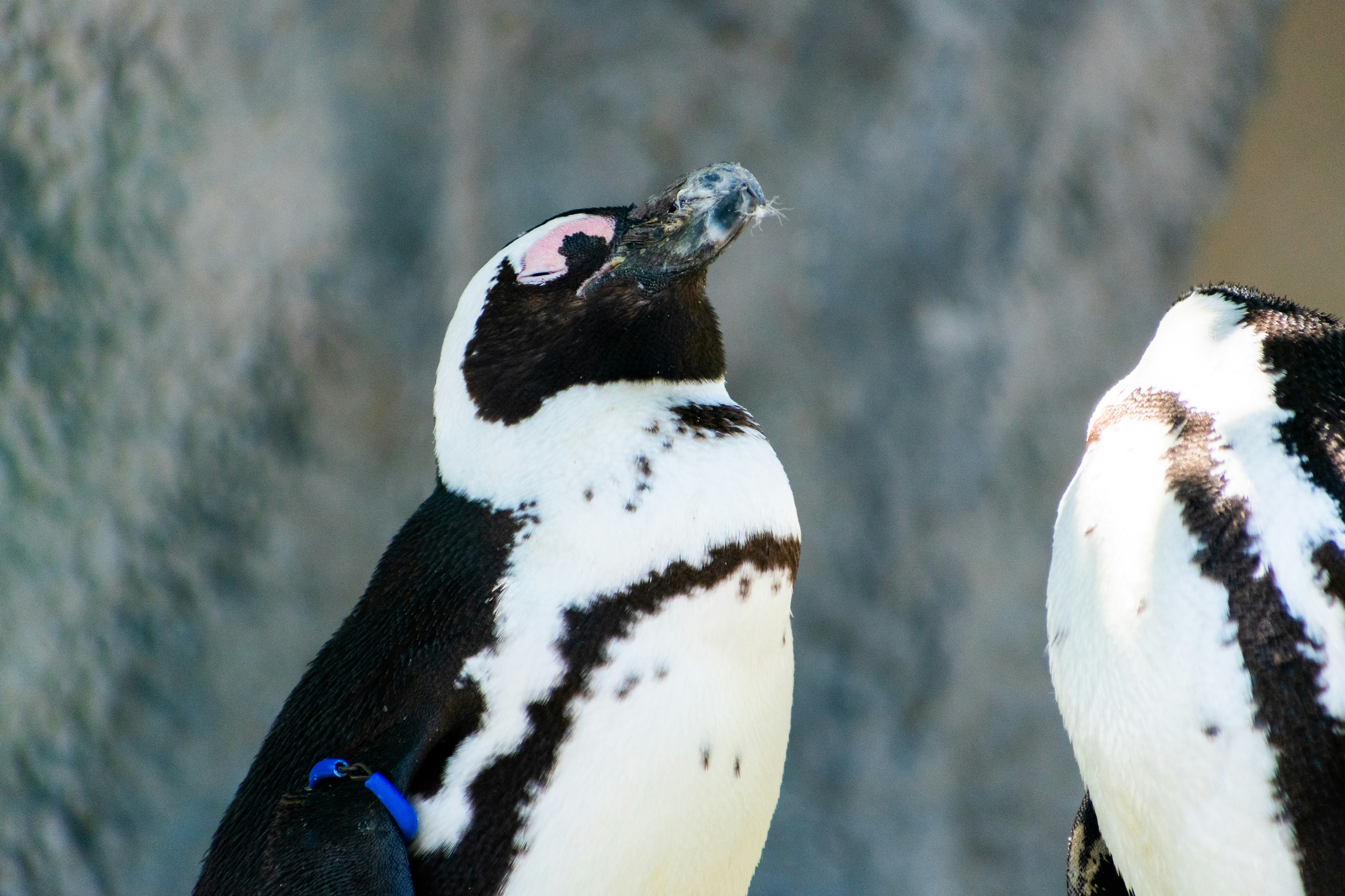 Photo by probablyrobin