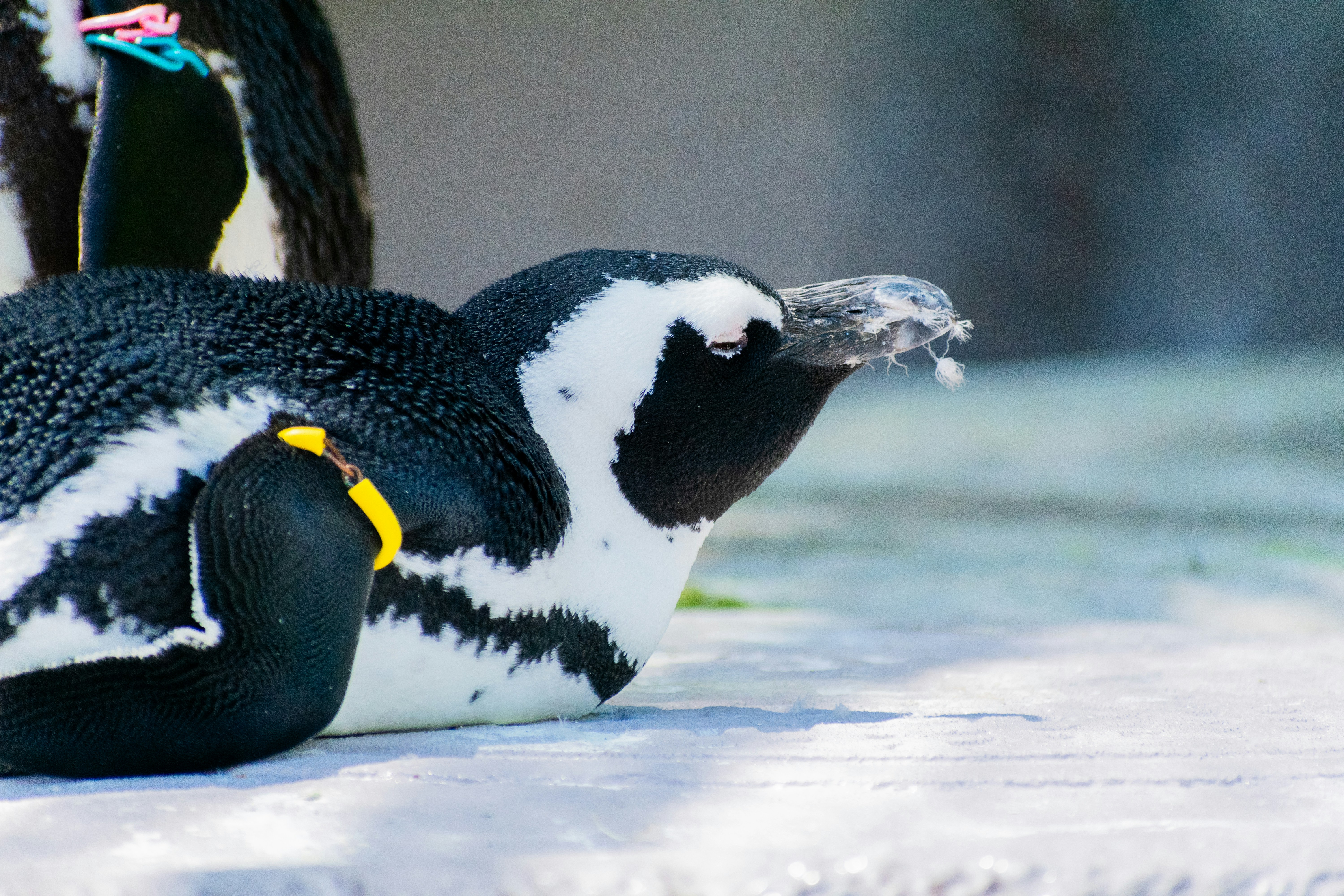 Photo by probablyrobin