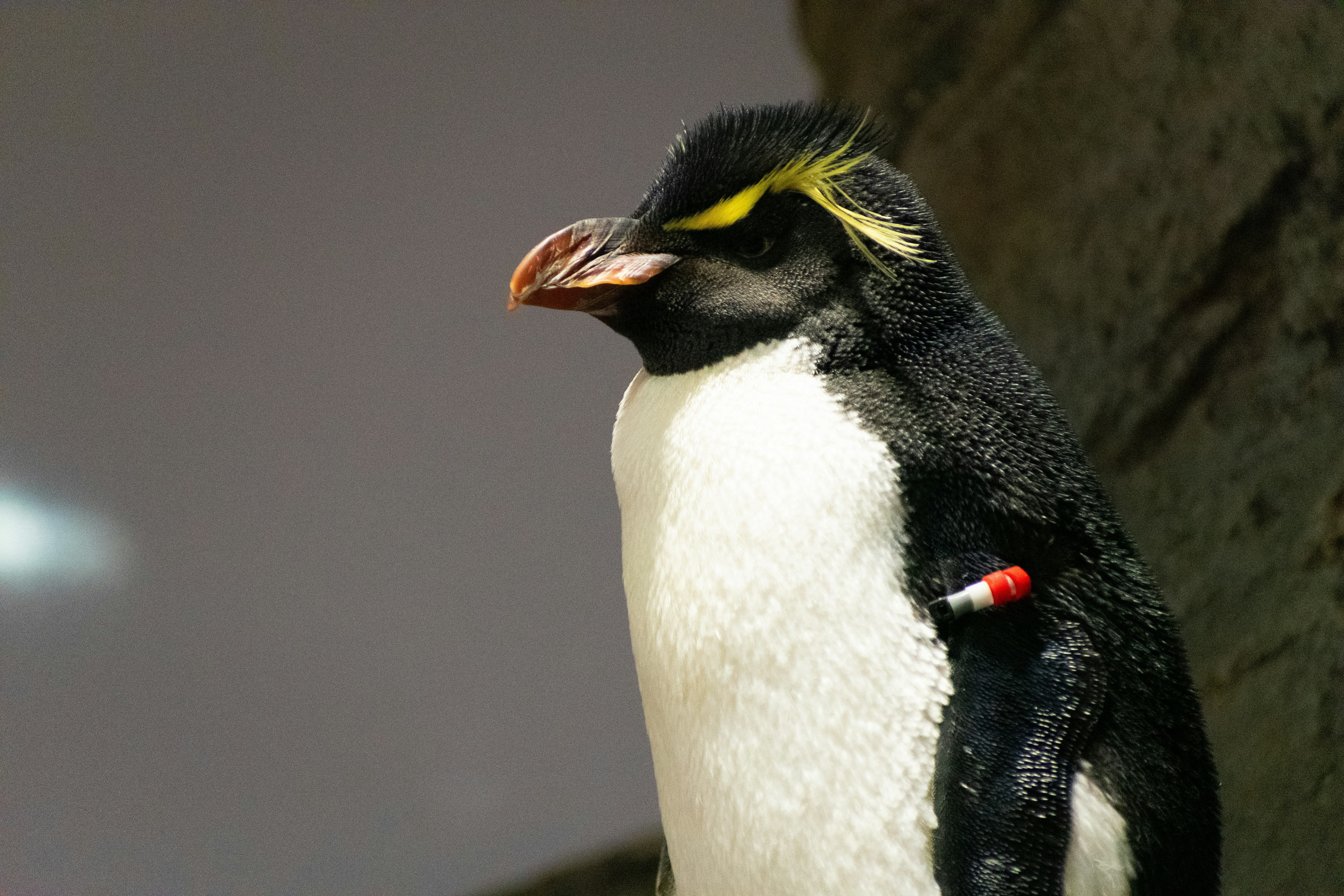 Photo by probablyrobin