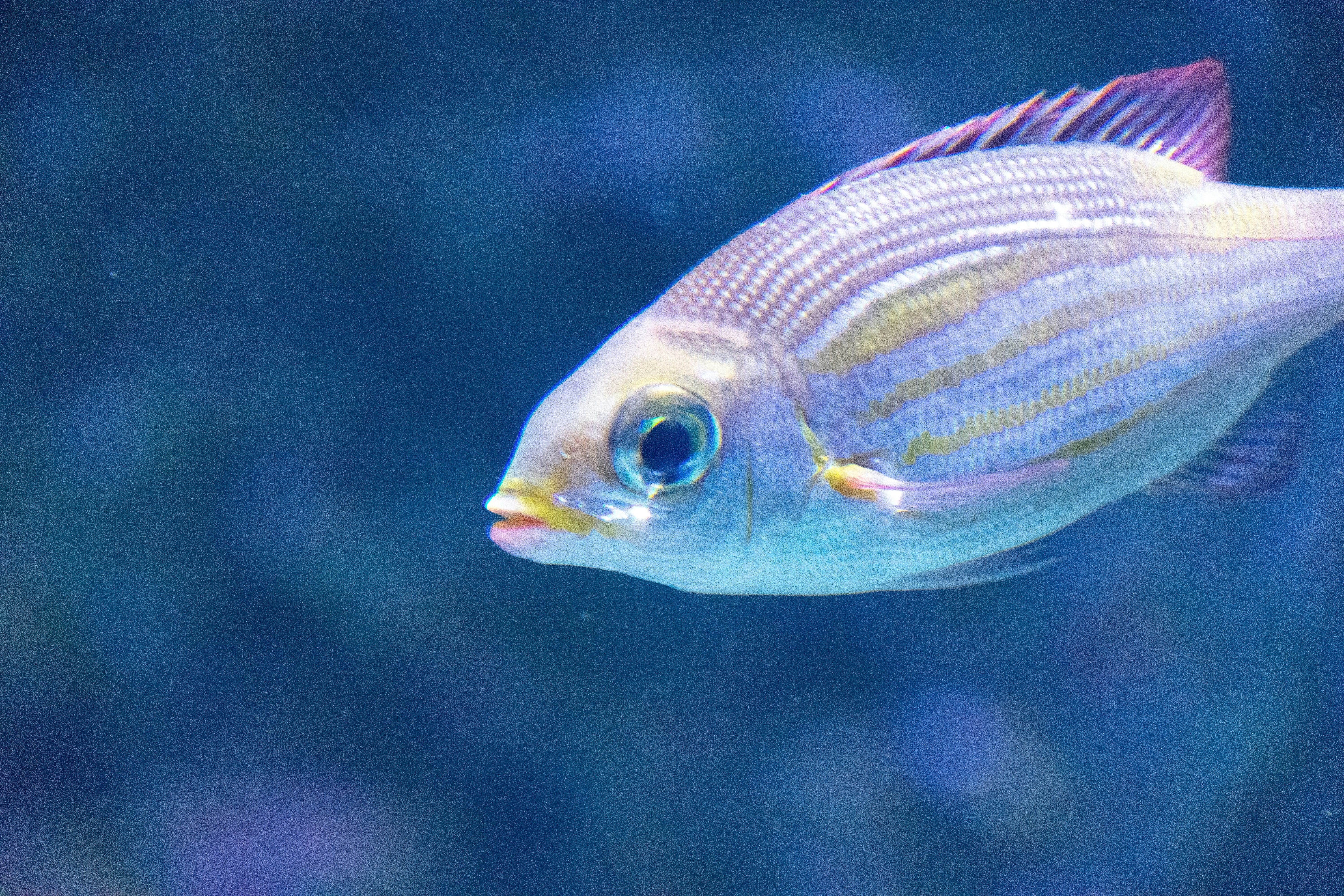 Photo by probablyrobin