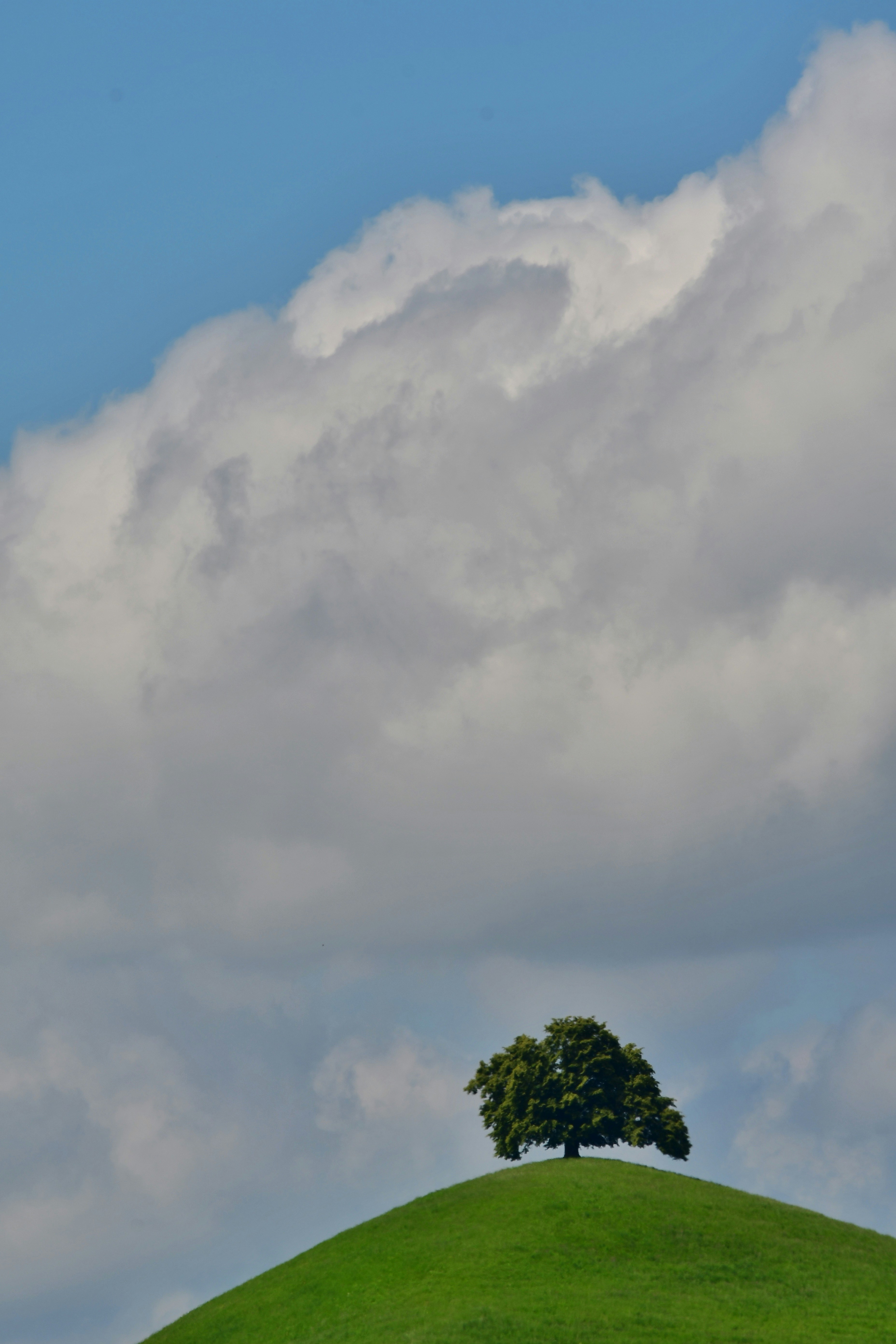 Photo by pedrino5_official