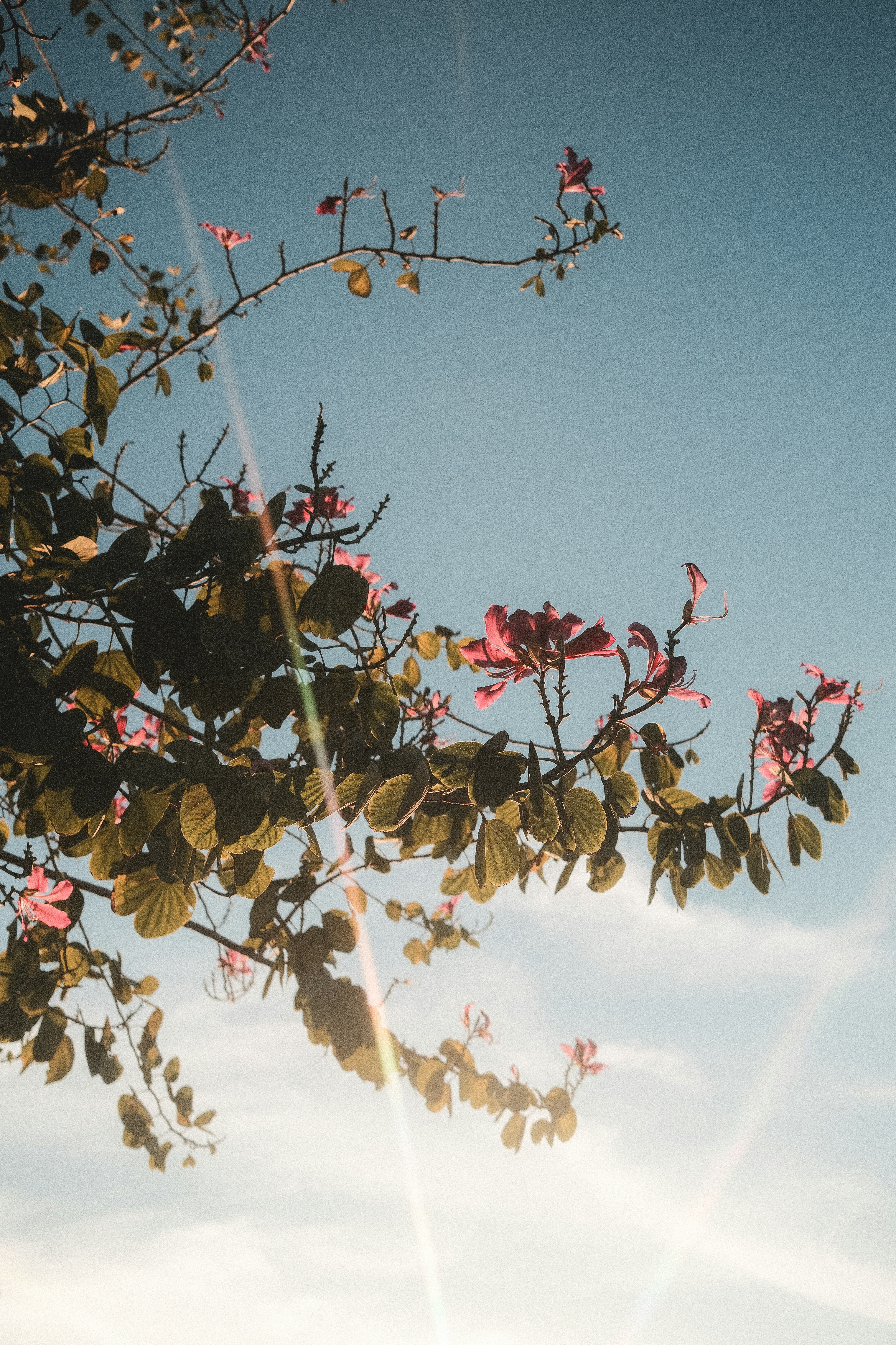 Photo by taiyoushounen