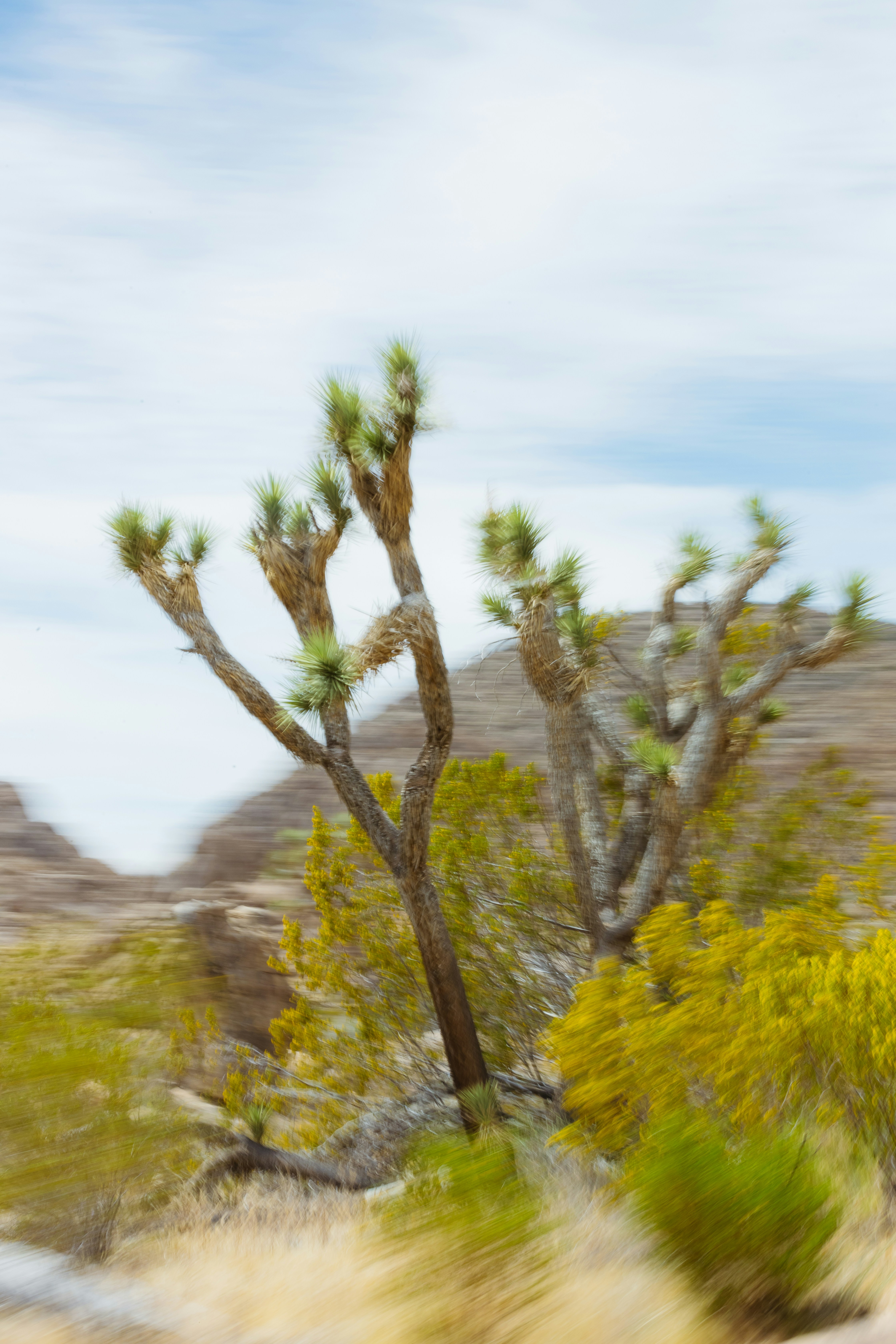 Photo by donovan_valdivia