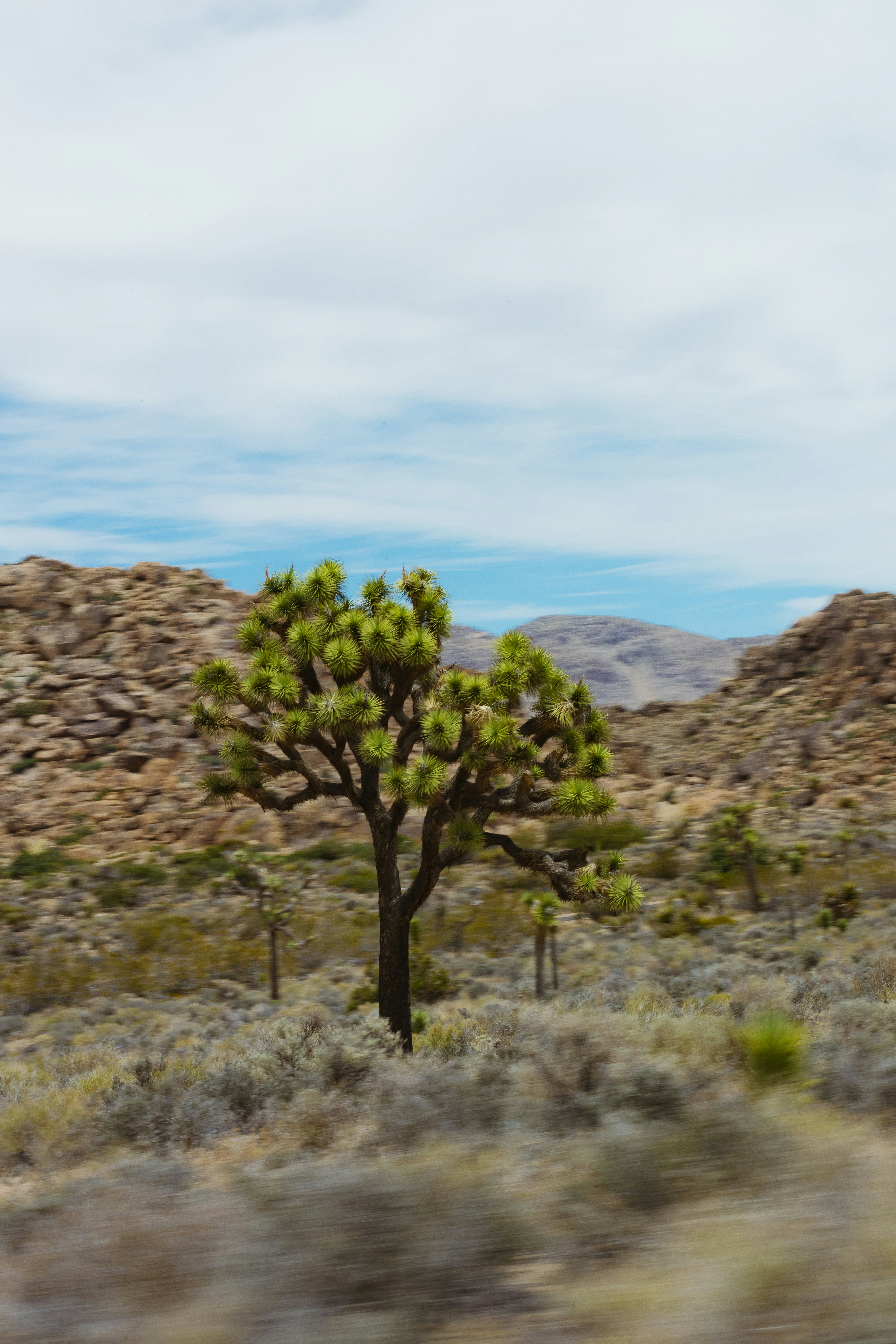 Photo by donovan_valdivia