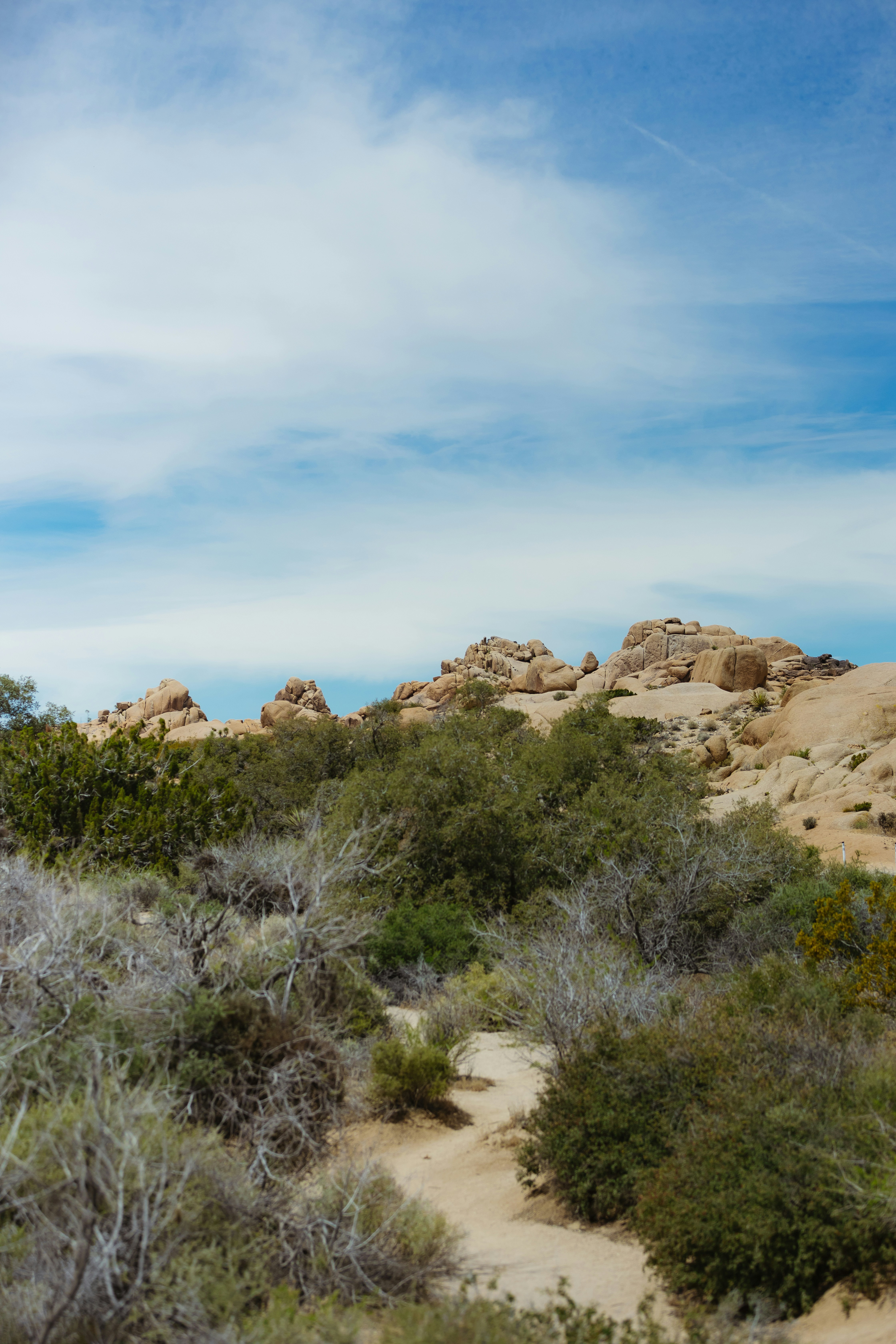 Photo by donovan_valdivia