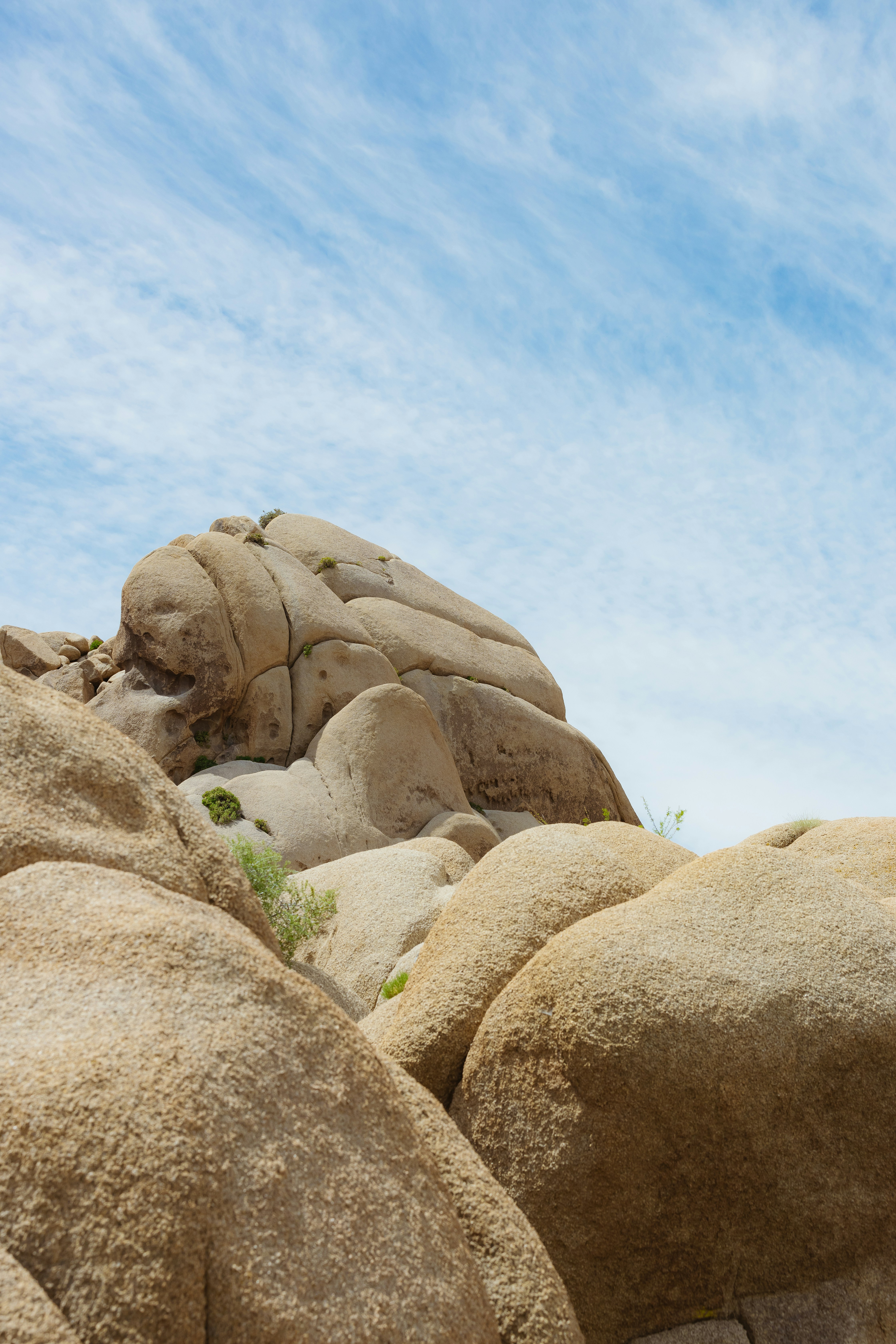 Photo by donovan_valdivia