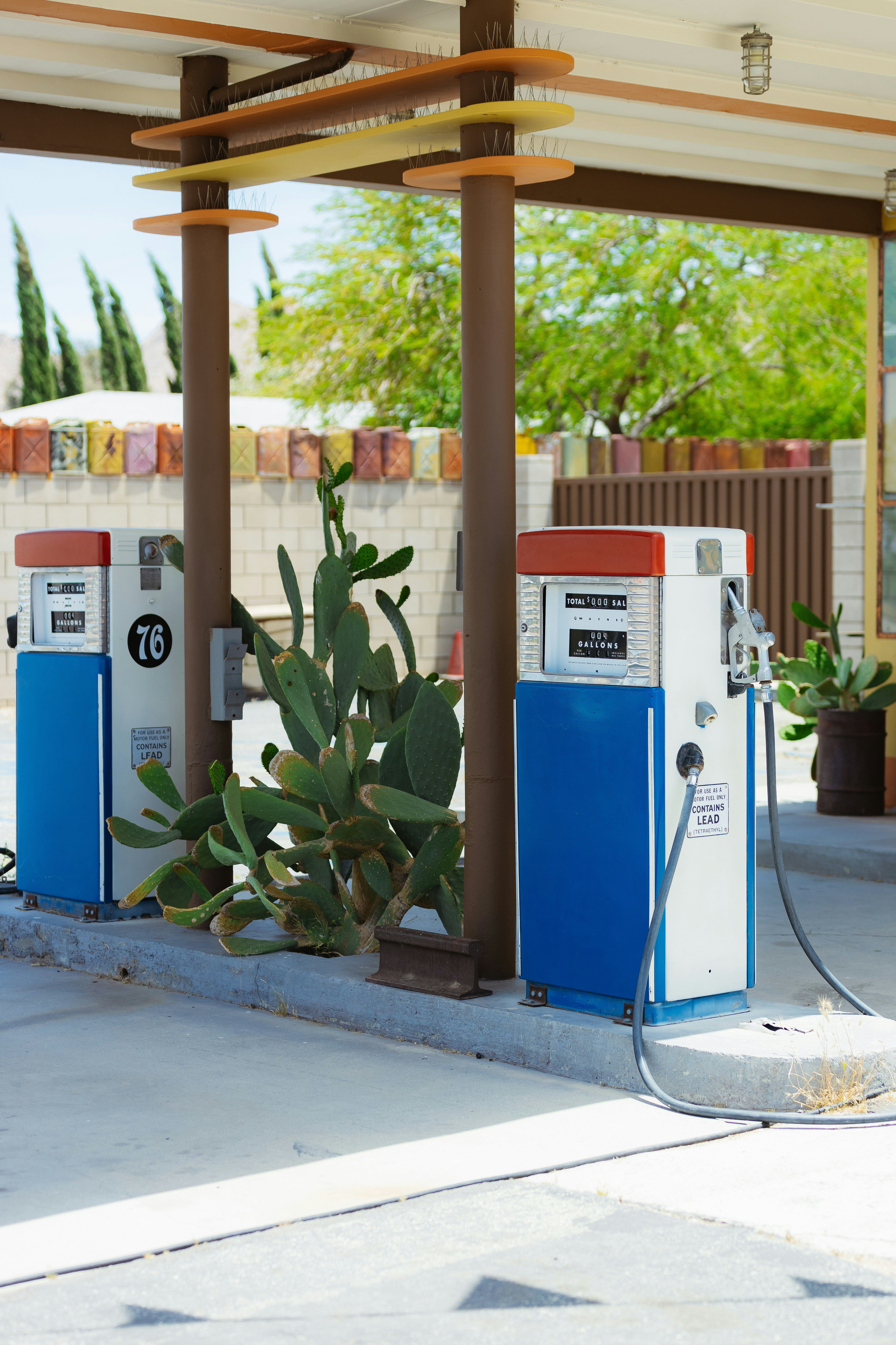 Photo by donovan_valdivia