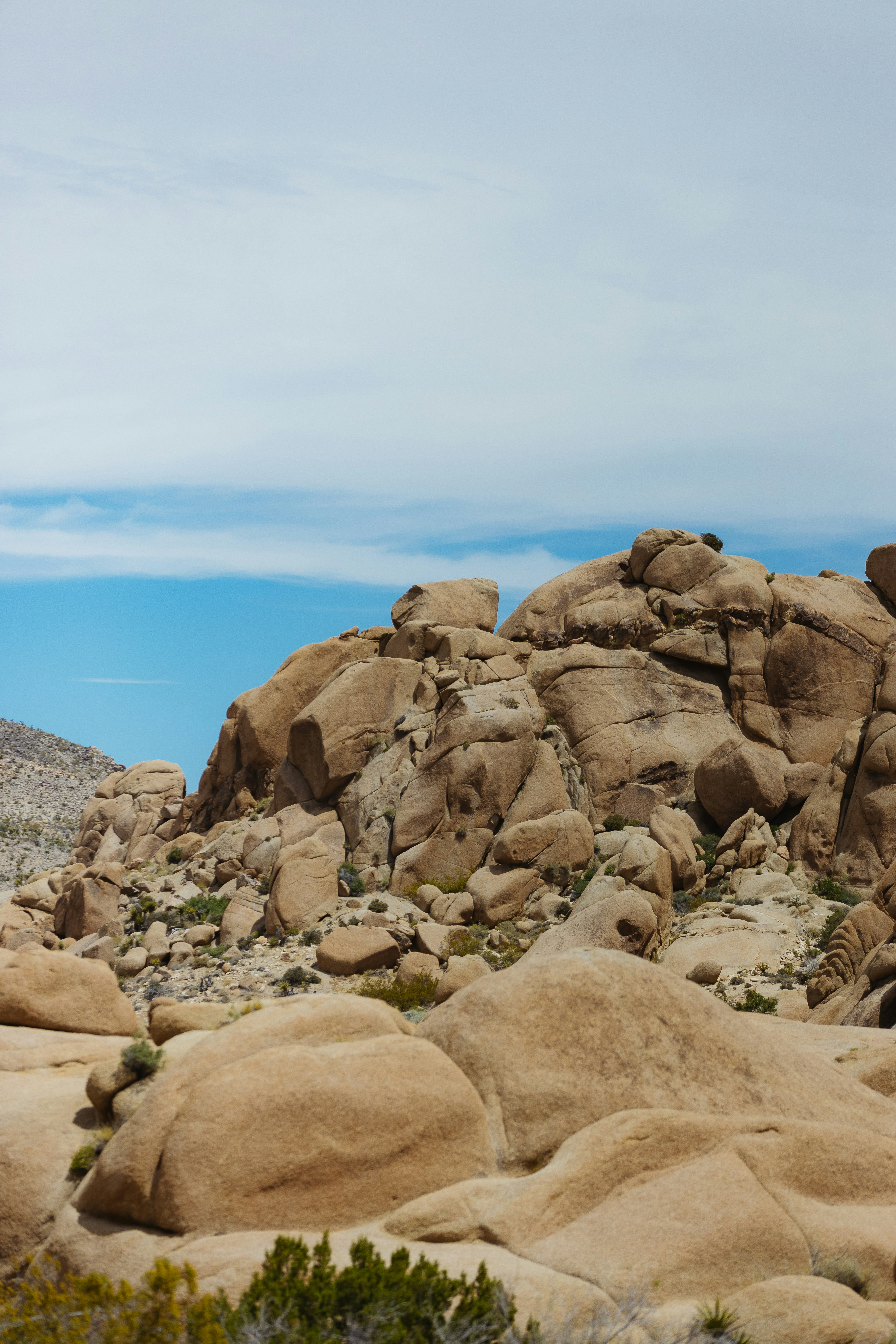 Photo by donovan_valdivia