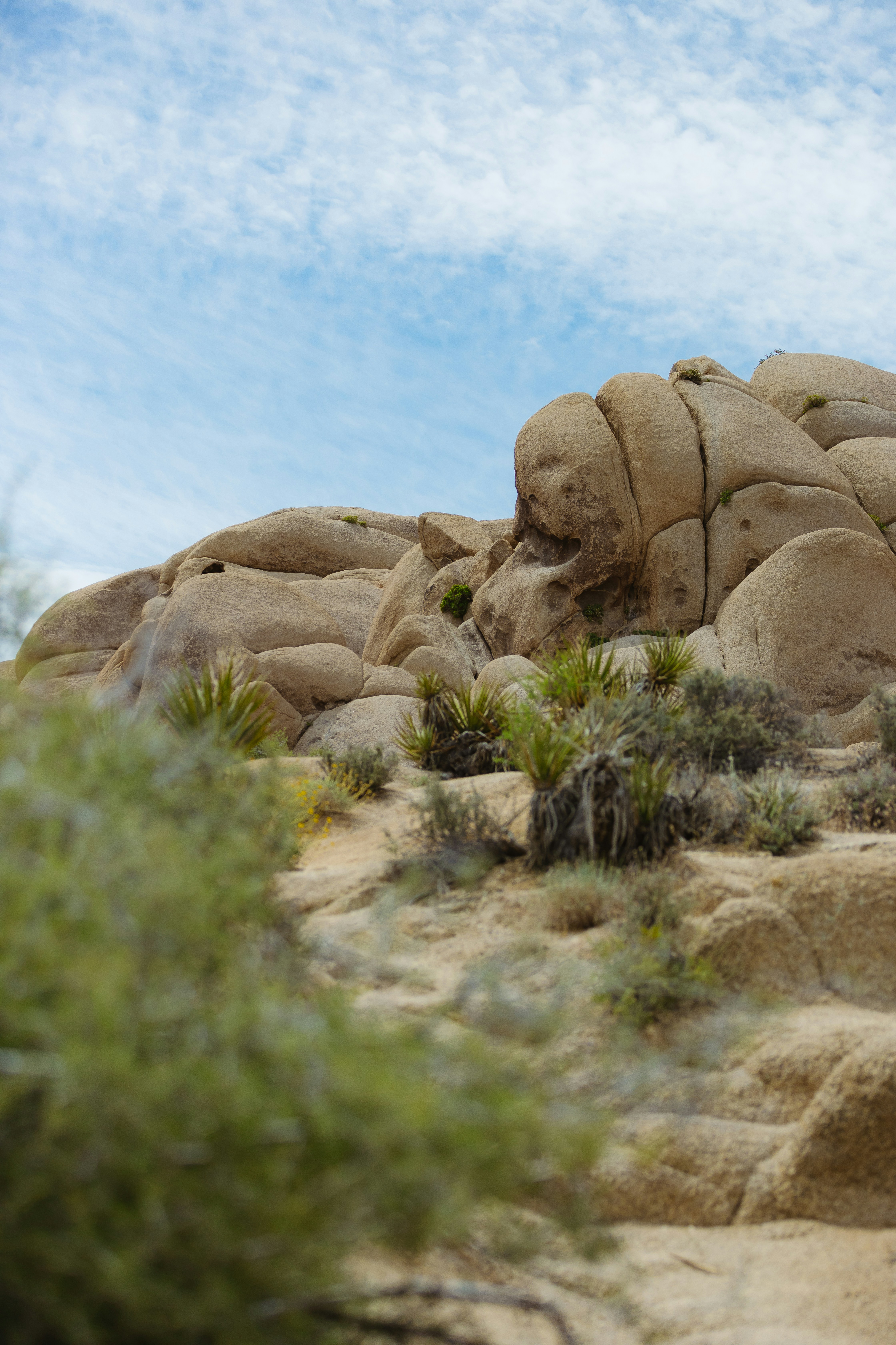 Photo by donovan_valdivia