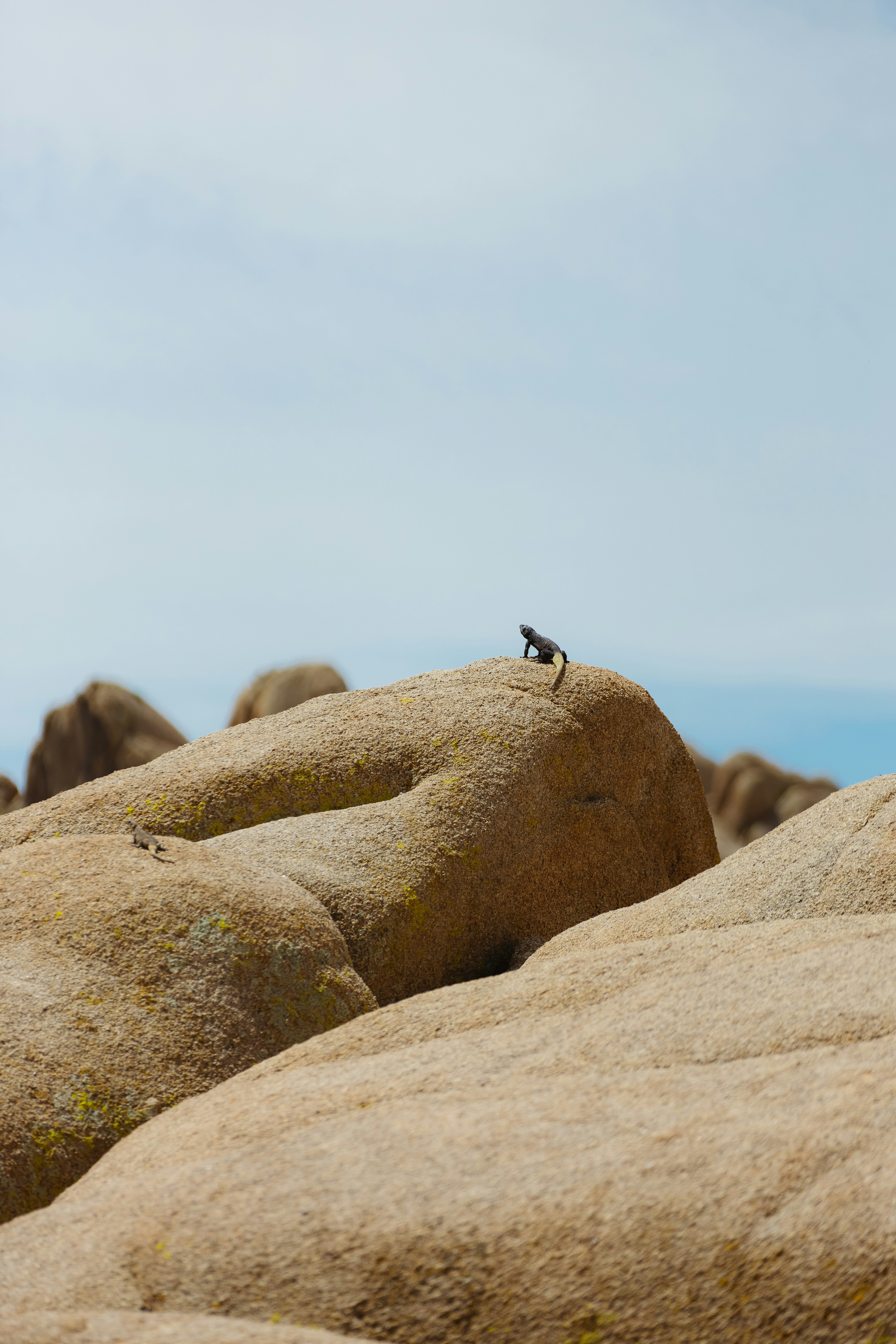 Photo by donovan_valdivia