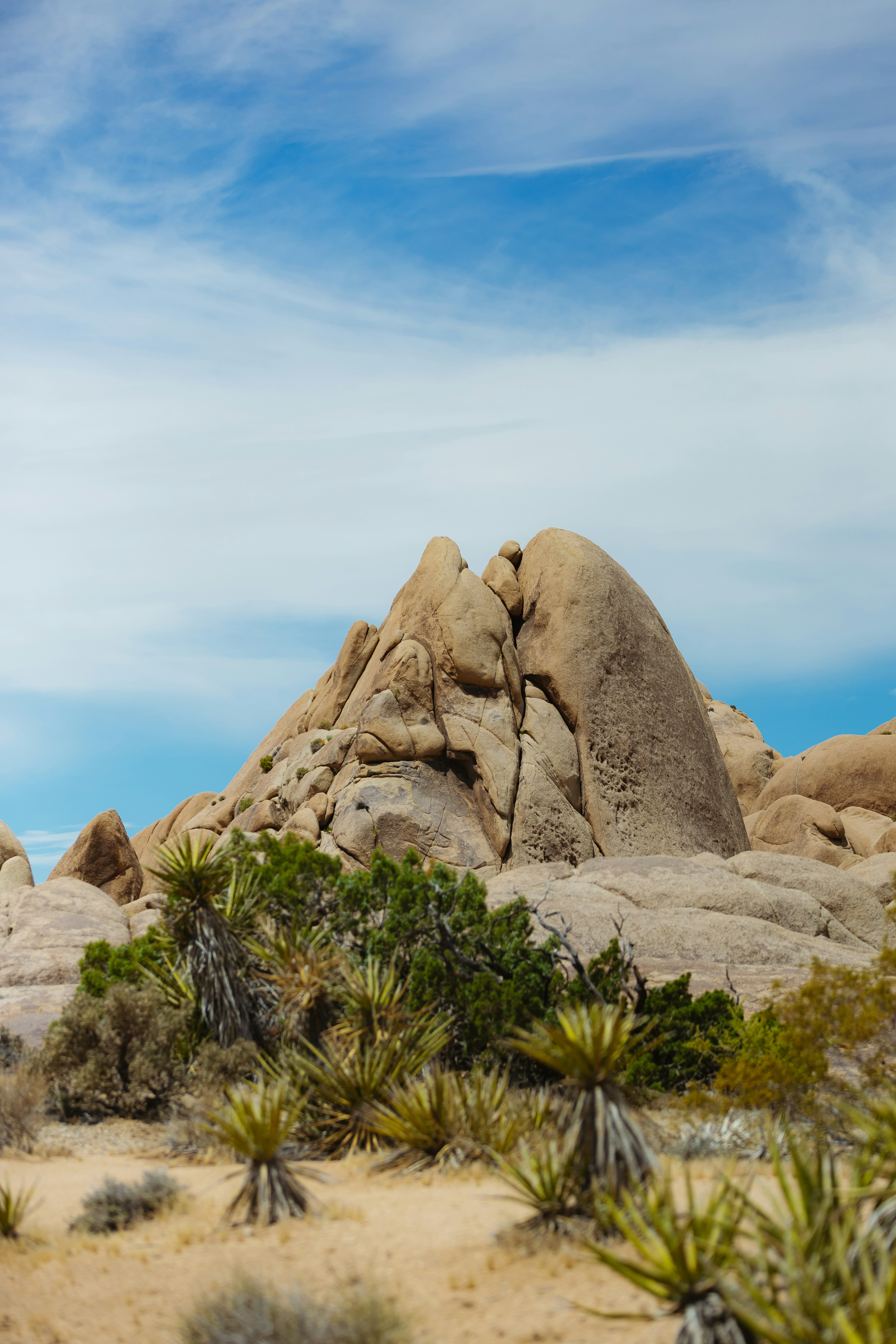 Photo by donovan_valdivia