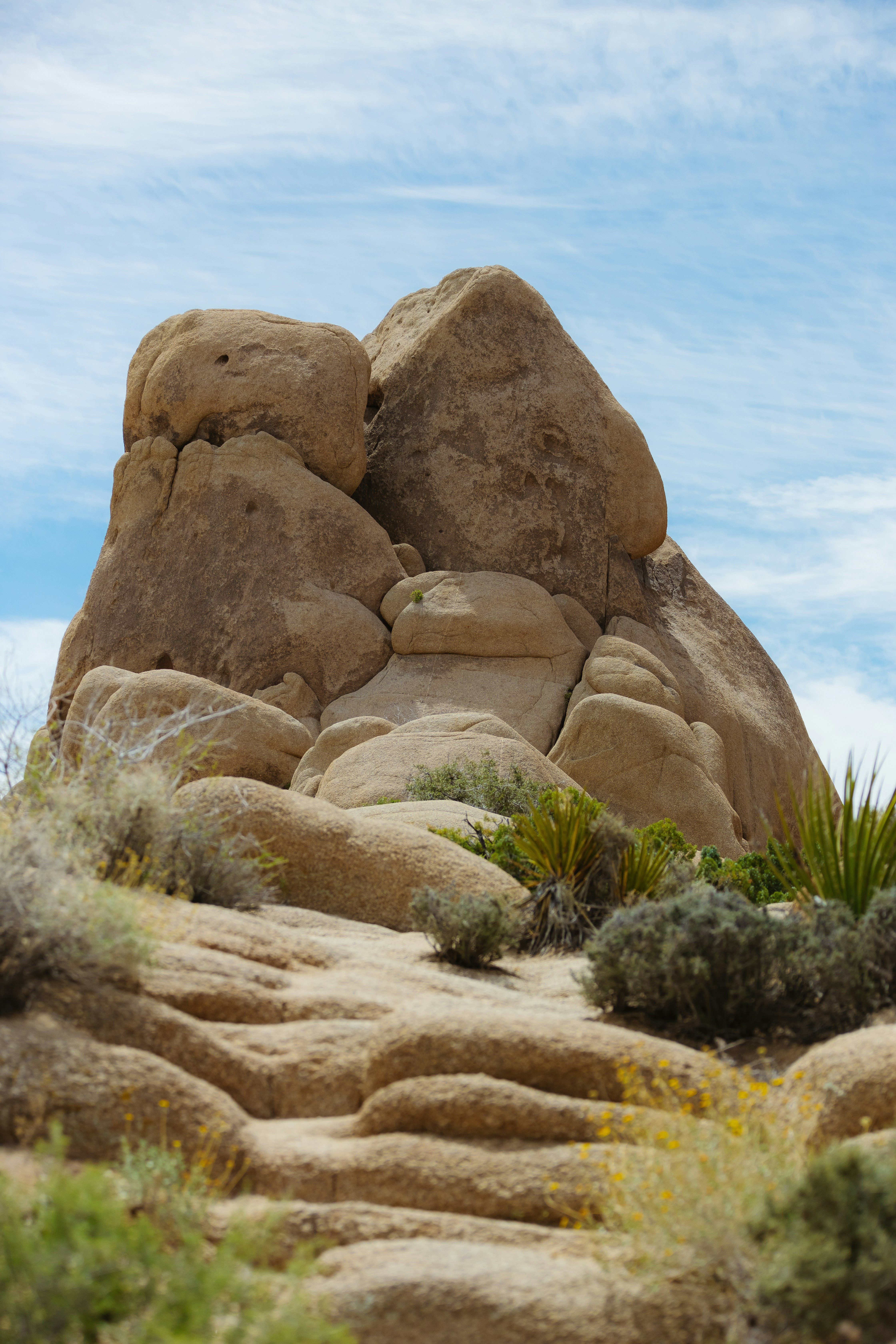 Photo by donovan_valdivia