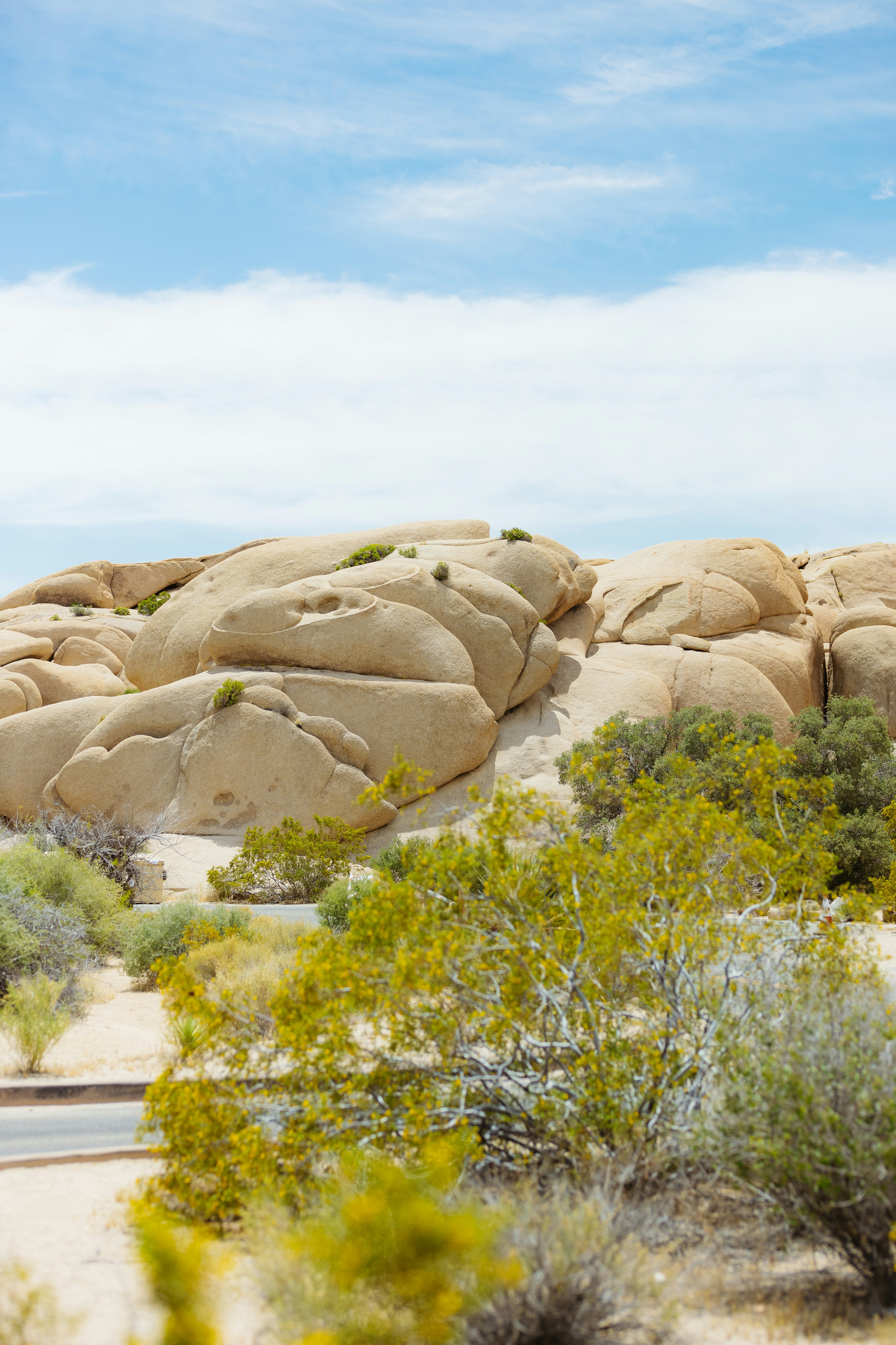 Photo by donovan_valdivia