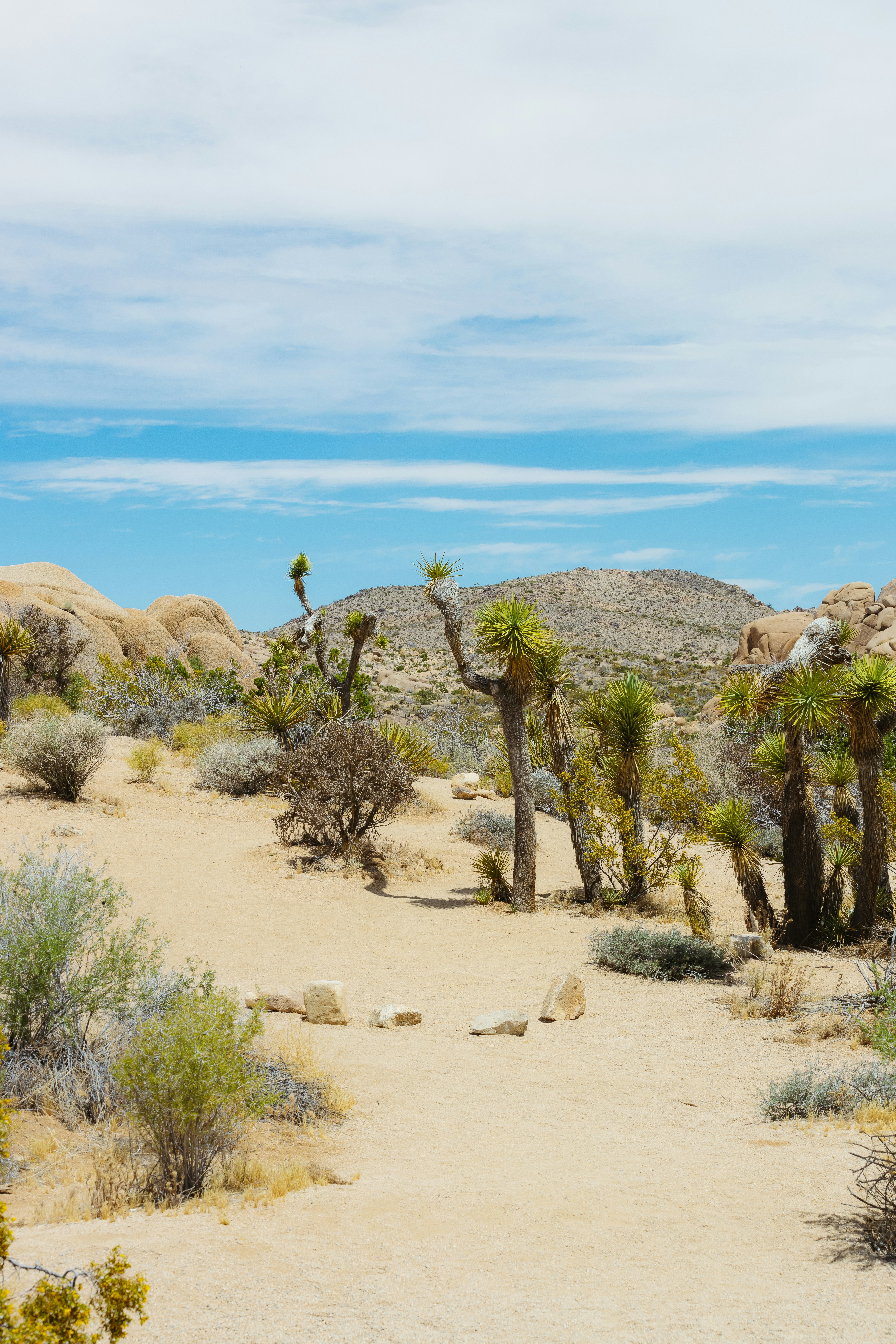 Photo by donovan_valdivia