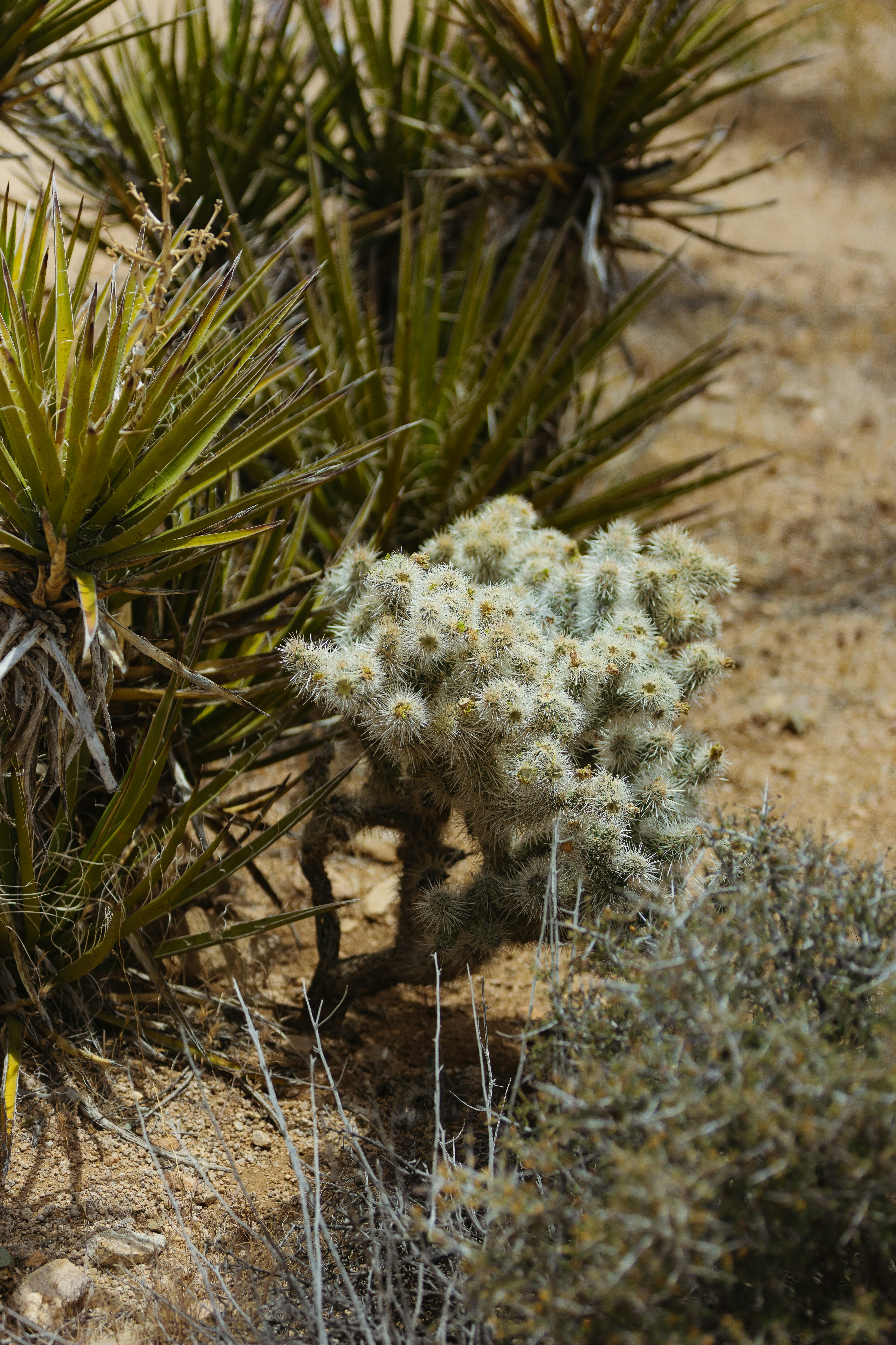 Photo by donovan_valdivia